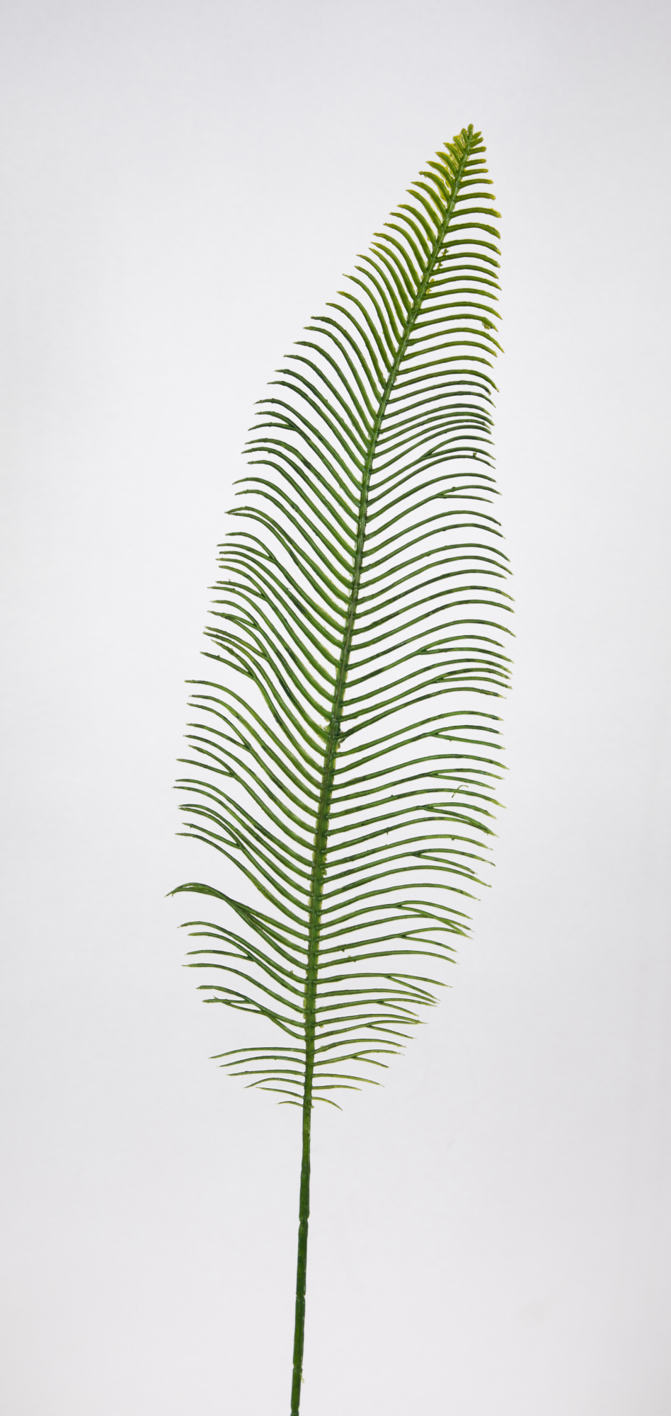 24 Stück Farnwedel / Farnzweig 56cm OG künstlicher Farn Zweig Blatt Wedel Kunstpflanzen