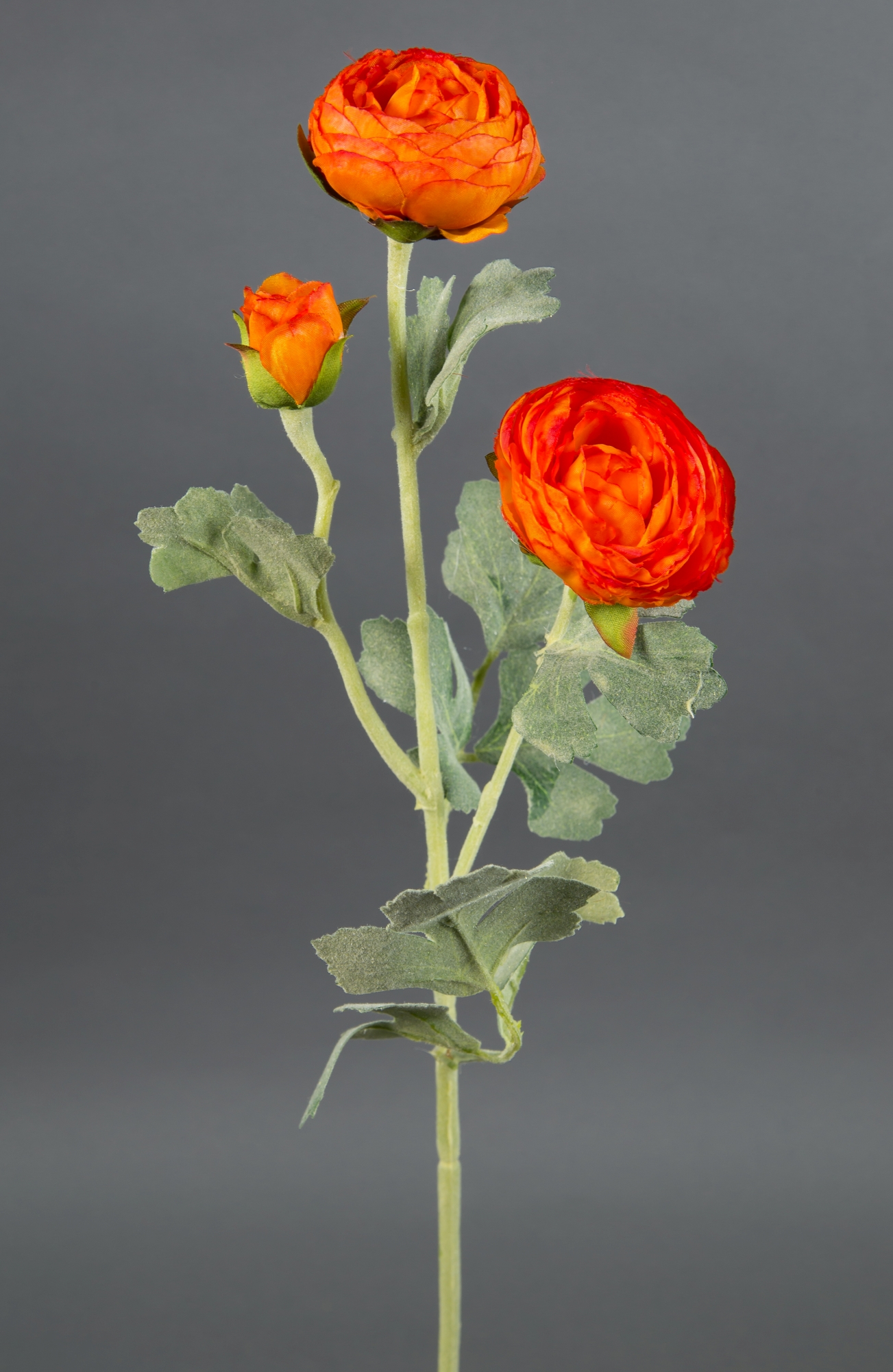 Ranunkelzweig 54cm orange CG Kunstblumen künstliche Blumen Ranunkel