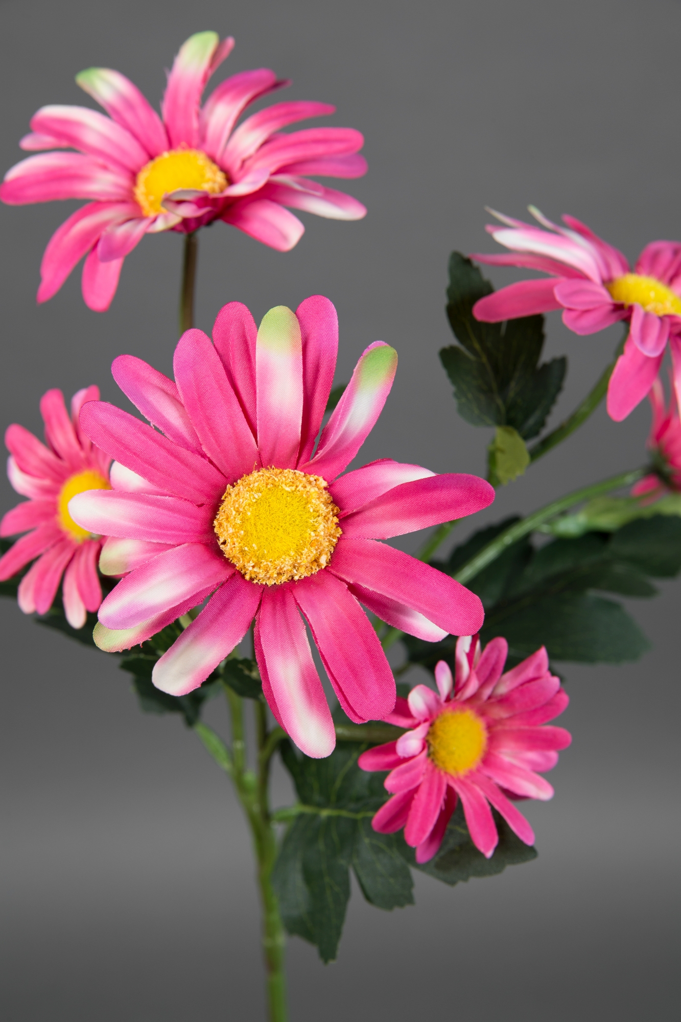 Margeritenzweig 60cm rosa-pink LM Kunstblumen künstliche Blumen Margerite