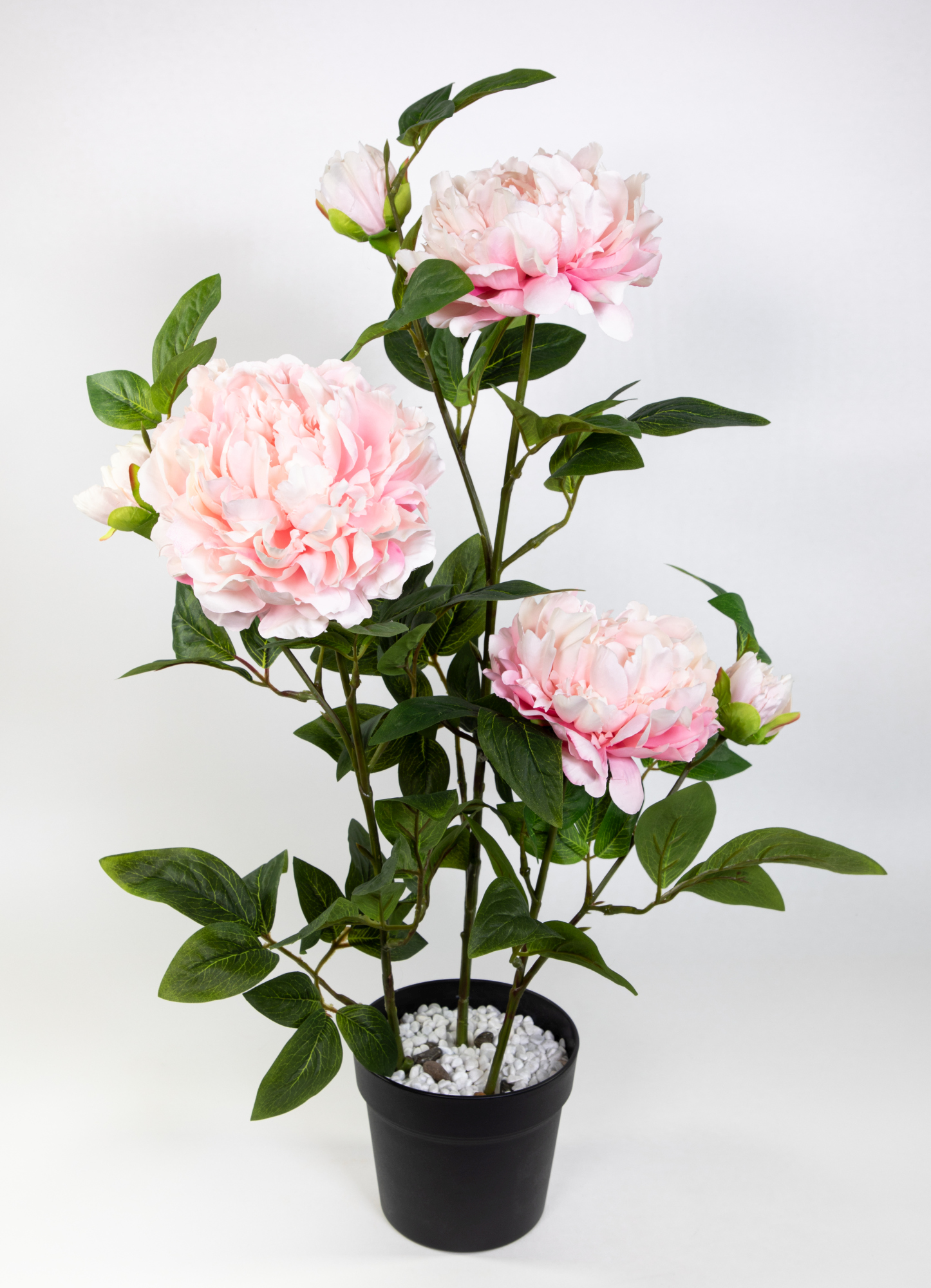Pfingstrose / Päonie 68cm rosa im Topf GA Kunstblumen künstliche Blumen Pflanzen Kunstpflanzen