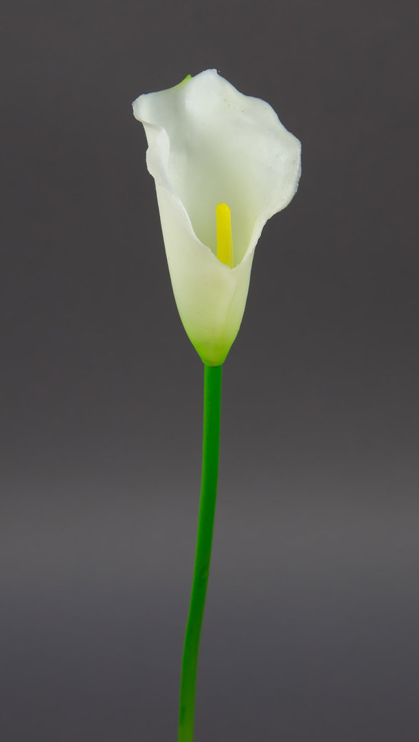 Calla Real Touch 38cm weiß GA Seidenblumen Kunstblumen künstliche Blumen