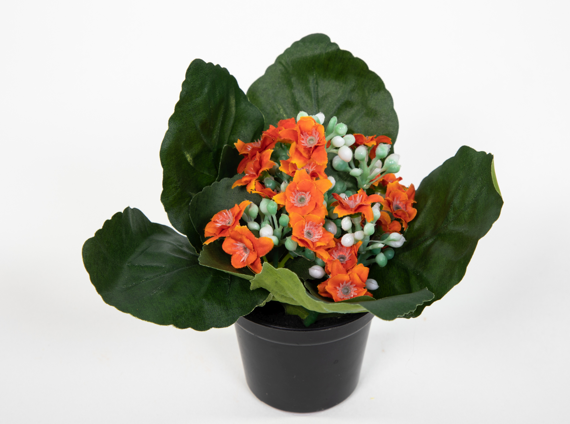Kalanchoe 12cm orange im Topf JA Kunstblumen künstliche Blumen Pflanzen Kunstpflanzen