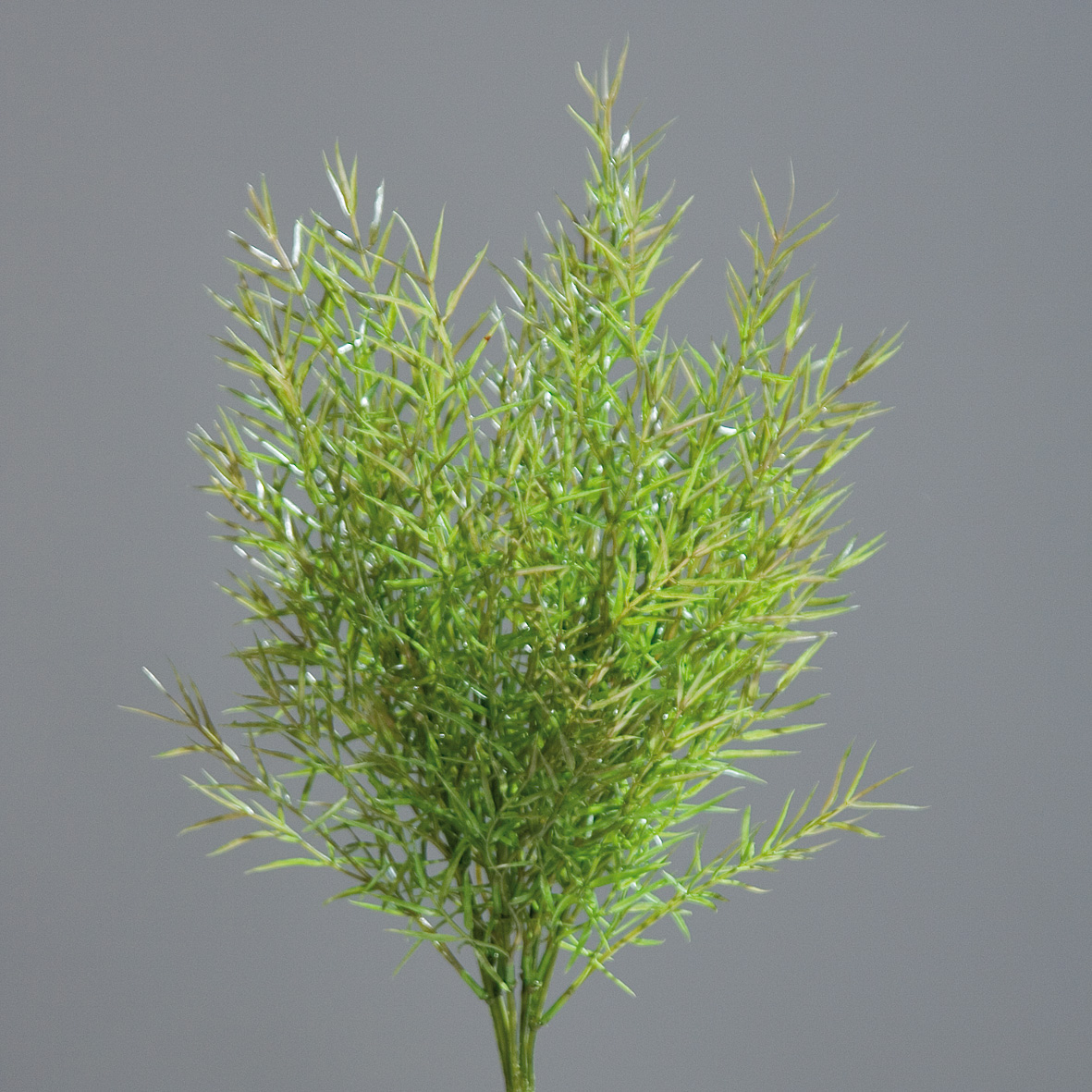 Asparagusbusch / Farnbusch 40cm DP Kunstpflanzen künstliche Pflanzen Asparagus