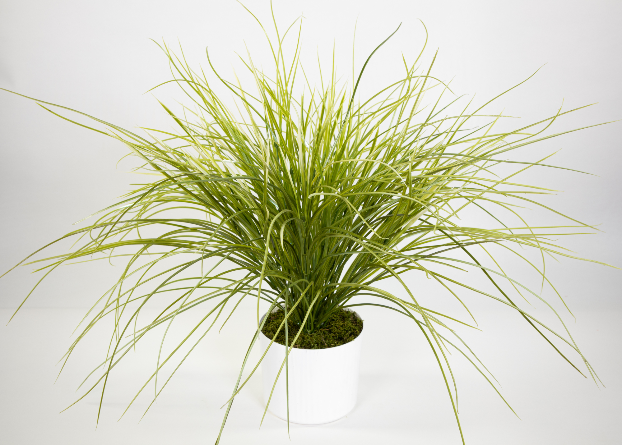 Grasbusch im weißen Dekotopf 56x60cm PF Kunstpflanzen Dekogras Kunstgras künstliche Pflanzen Gras