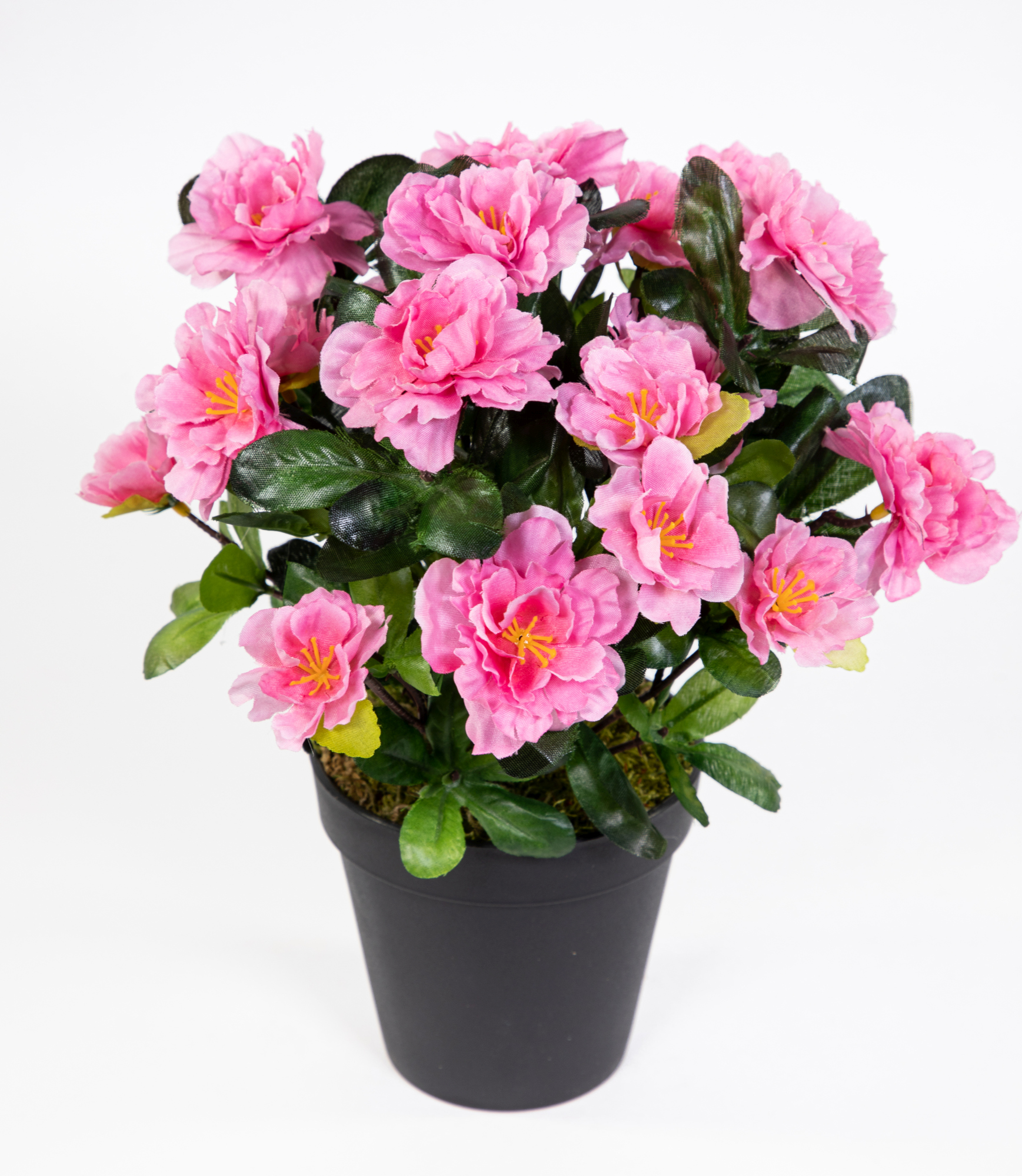 Azalee 24cm rosa-pink im Topf LA künstliche Blumen Pflanzen Kunstpflanzen Kunstblumen