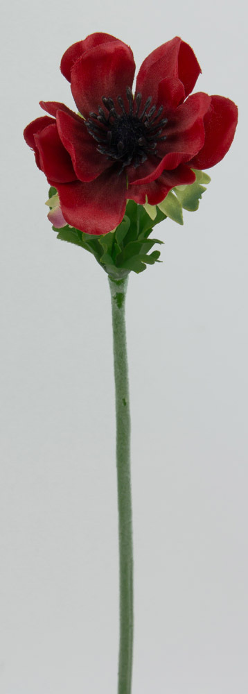 Anemone 34cm bordeaux AR Kunstblumen künstliche Blumen Seidenblumen