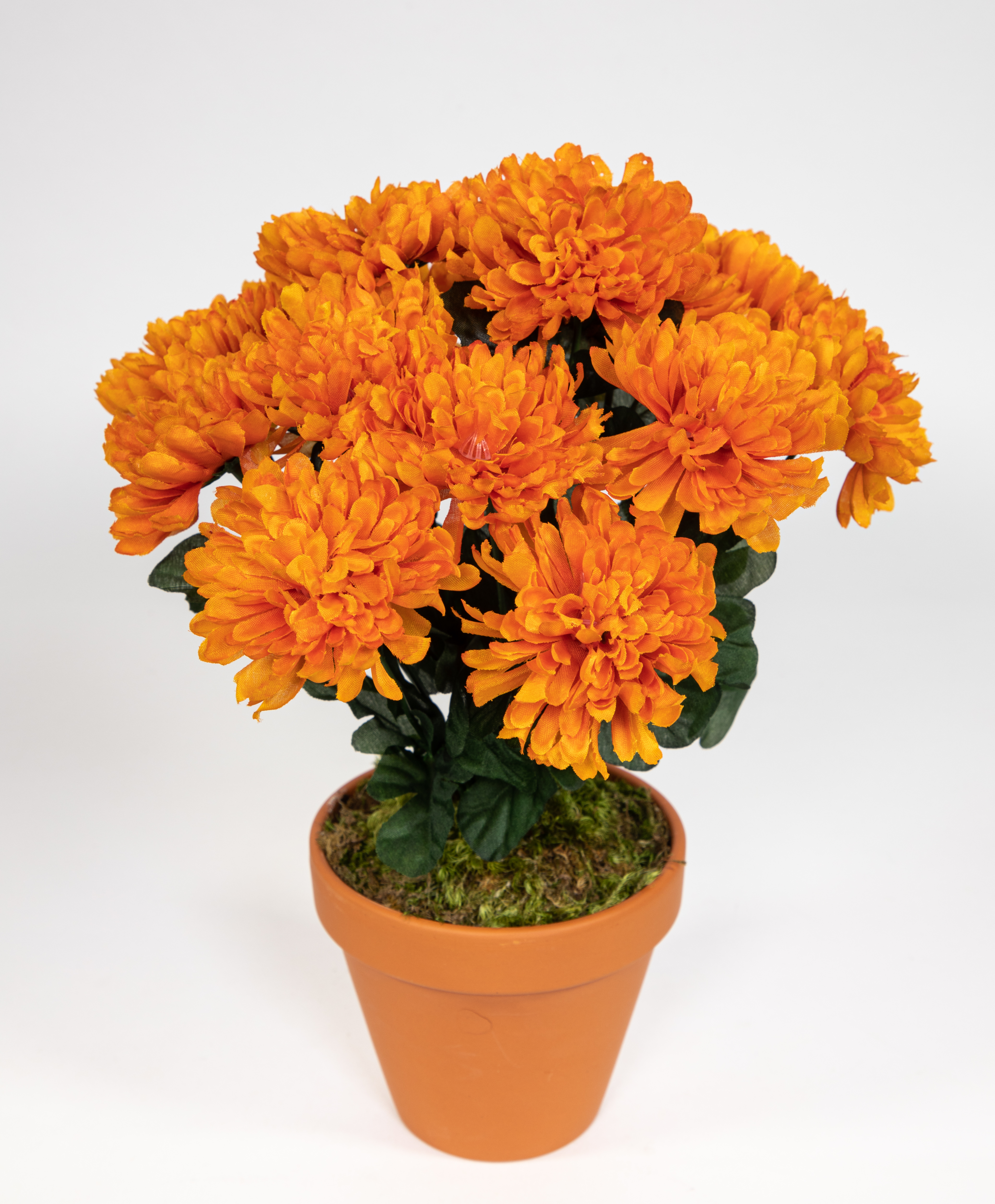 Chrysantheme 30cm orange im Topf DP Kunstpflanzen künstliche Pflanzen Blumen Kunstblumen