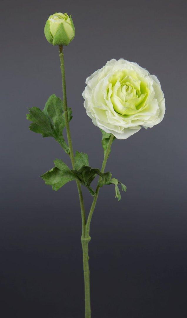 Ranunkelzweig 48cm weiß-grün CG Kunstblumen Seidenblumen künstliche Blumen Ranunkel