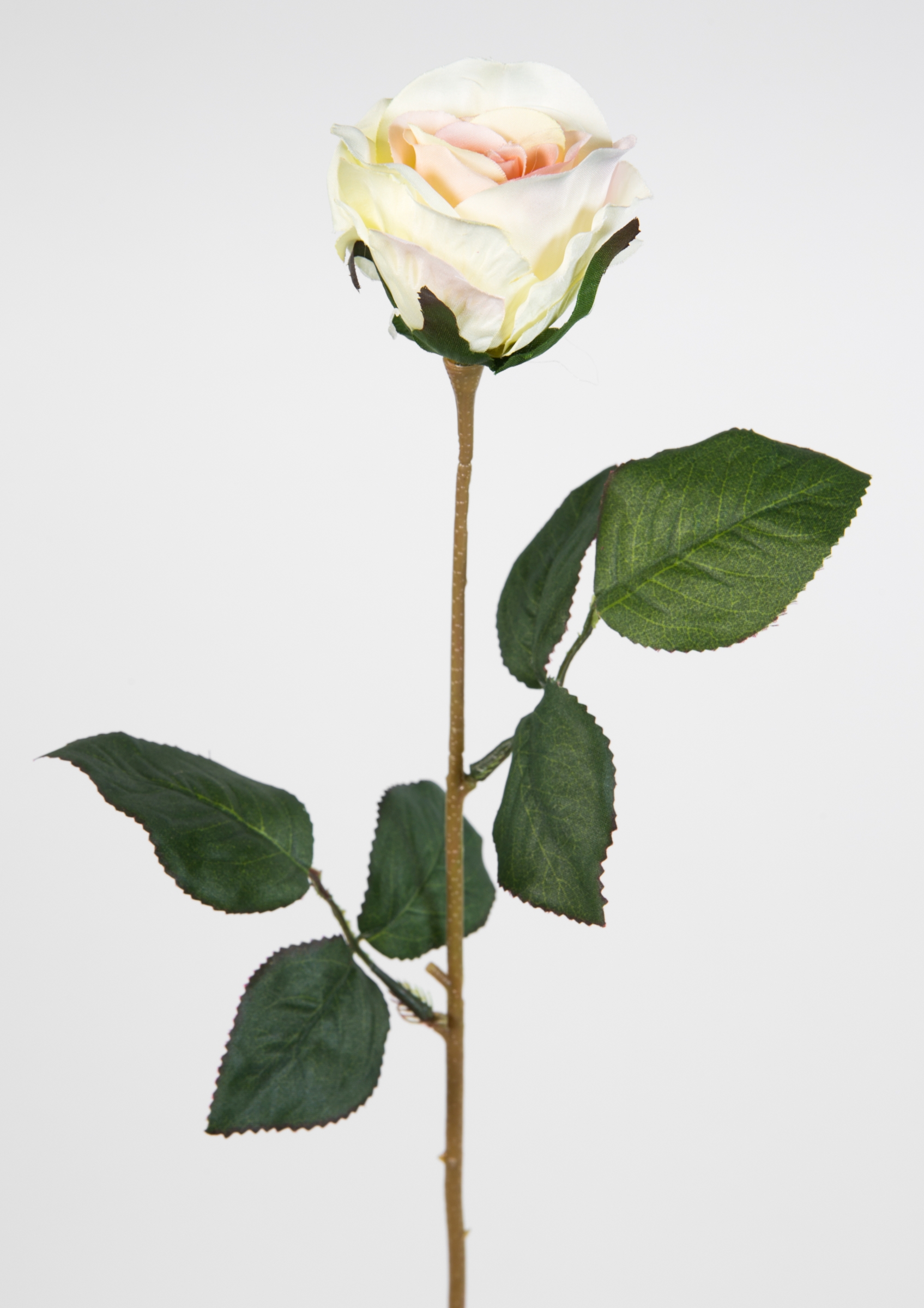 Rose 45cm peach LM Kunstblumen künstliche Rose Rosen Blumen Seidenblumen