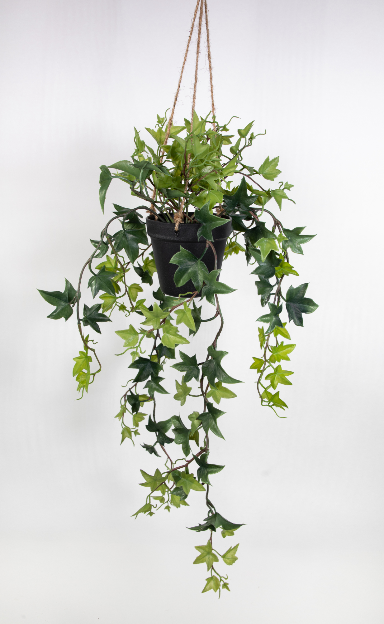 Efeuranke im Hängetopf 60cm / 100cm JA Kunstpflanzen Hängeampel künstliche Pflanzen