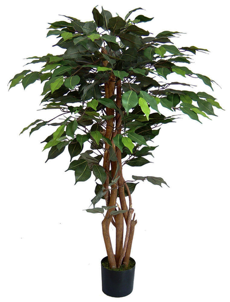 Ficus Excotica 120cm grün DA Kunstbaum Kunstpflanzen künstlicher Baum  Dekobaum Birkenfeige