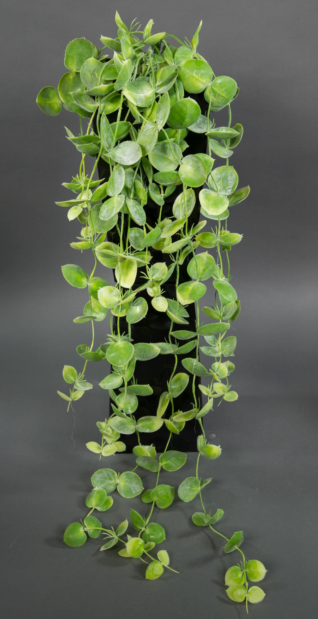 Smilaxranke / Stechwindenranke 100cm FT Kunstpflanzen künstliche Pflanze Ranke Stechwinde Smilax