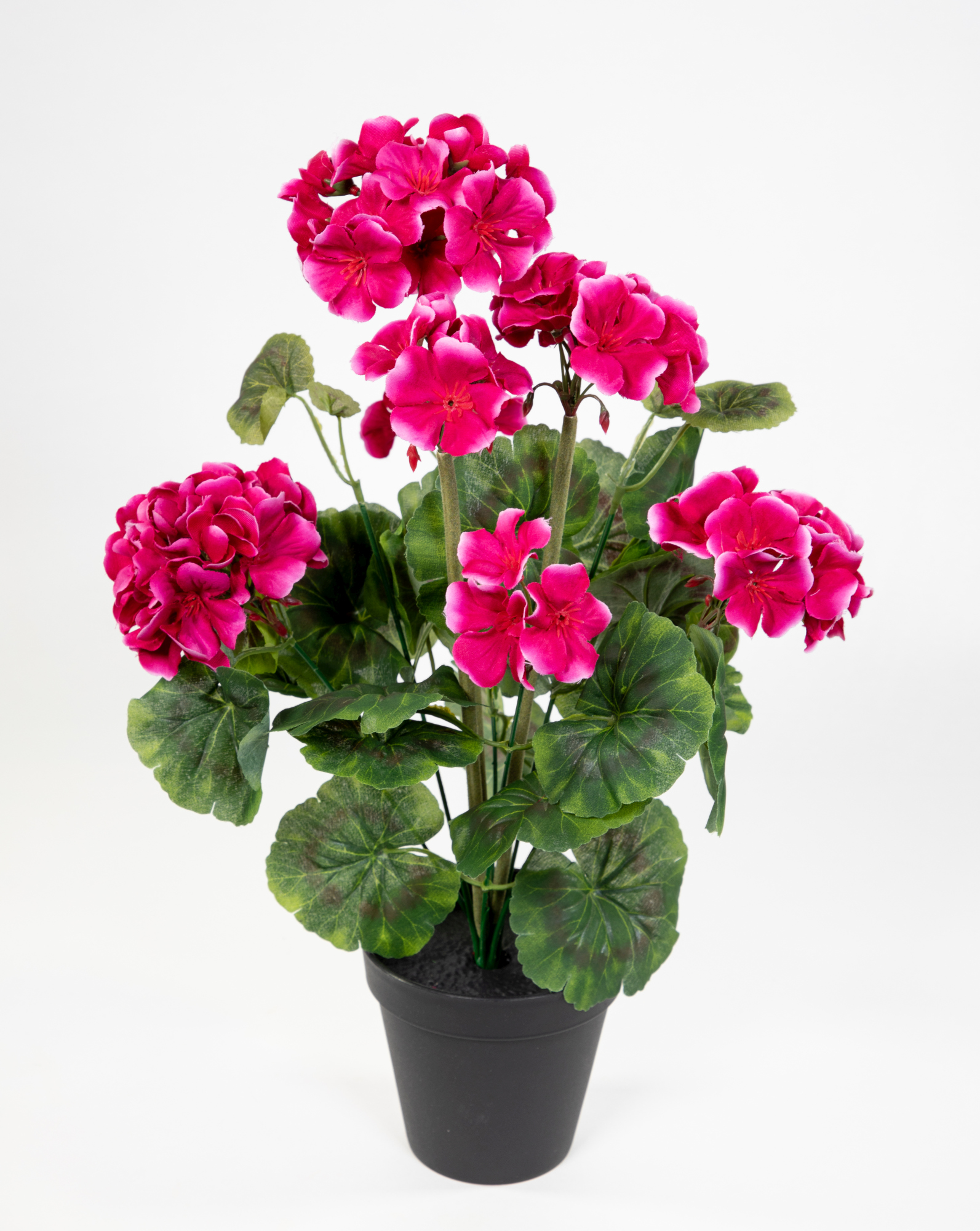 Künstliche Geranie im Topf 44cm beauty JA Kunstblumen künstliche Pelargonium Blumen Pflanzen