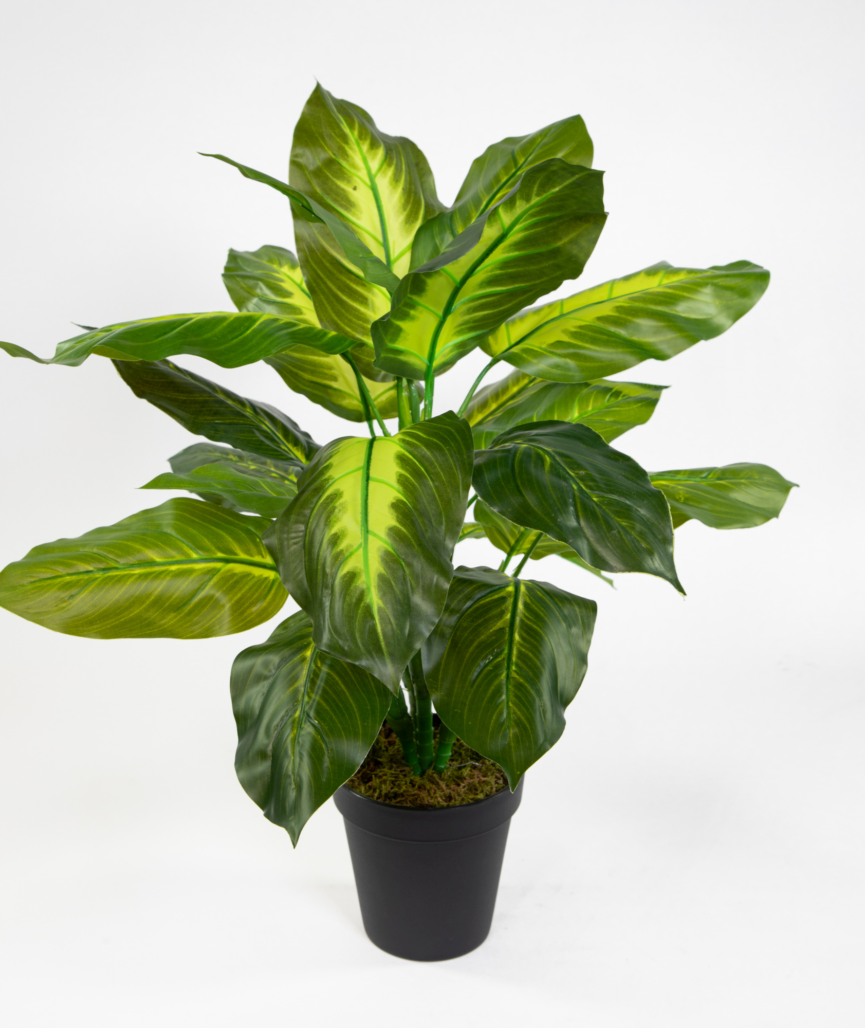 Philo Real Touch künstliche 52cm im Topf Kunstpflanzen Pflanzen ZF Philopflanze grün-hellgrün
