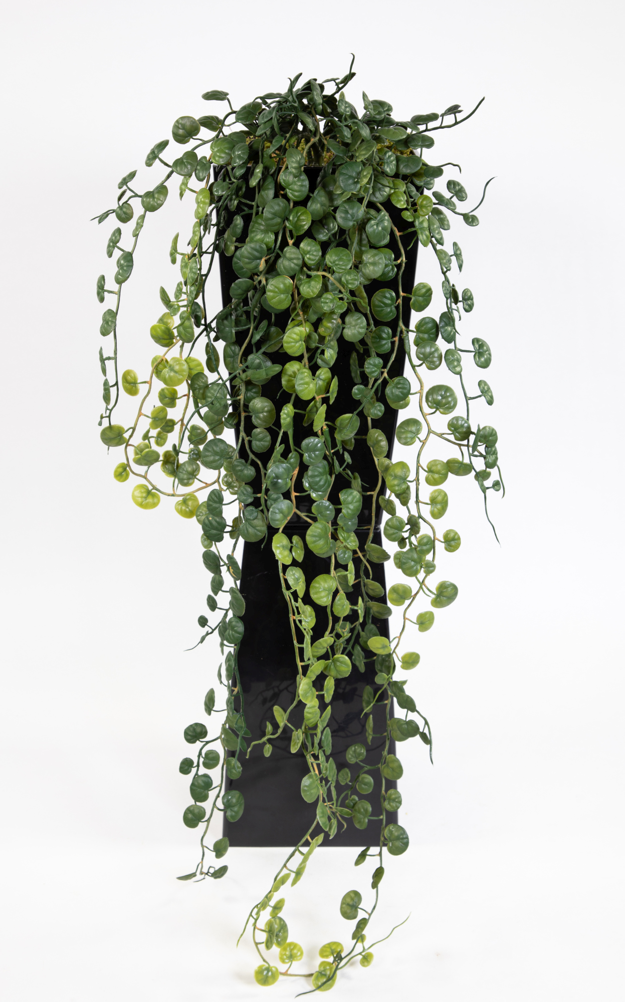 Ceropegia-Ranke / Leuchterblumen-Ranke 80cm FT Kunstpflanzen künstliche Pflanzen Ranken Kunstranken