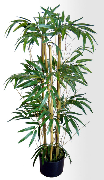 Twiggy-Bambus 90cm DA Kunstbaum Kunstpflanzen künstlicher Bambus