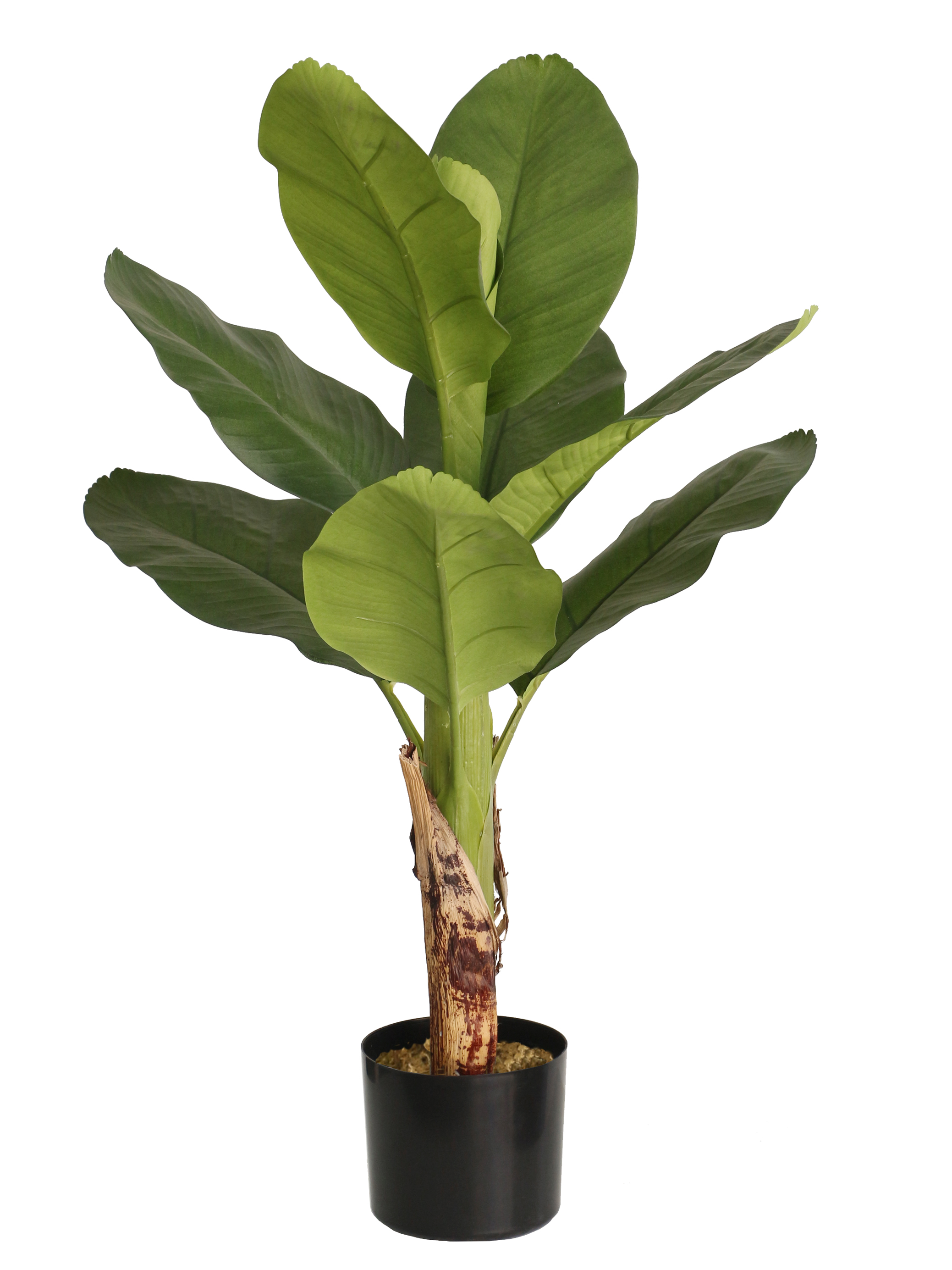 Bananenpalme / Bananenpflanze 85cm LA künstlicher Baum Kunstbaum Kunstpflanze künstliche Pflanzen Banane