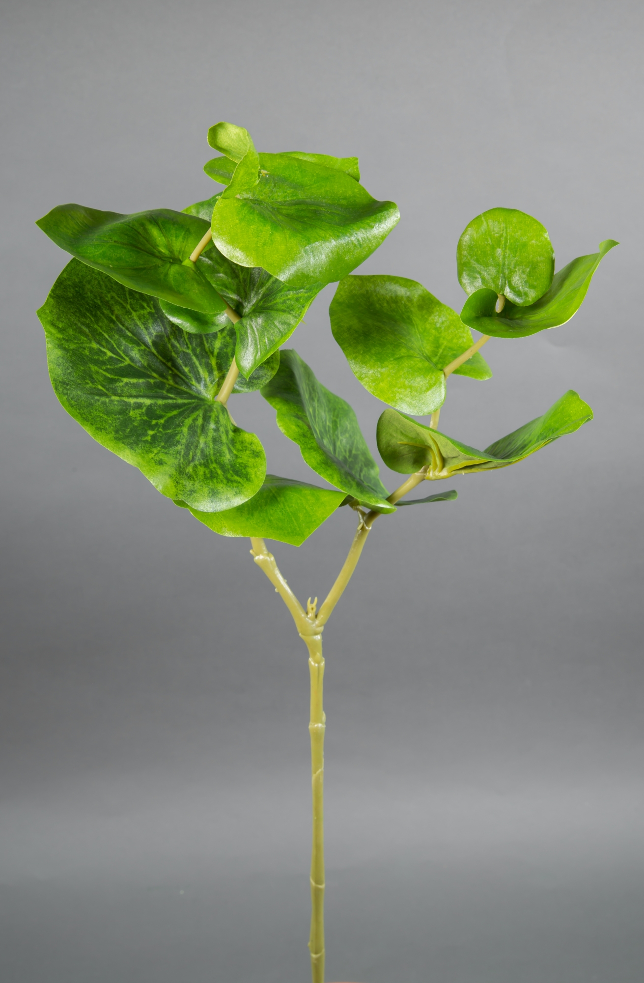 Begonienzweig Nature 75cm GA Kunstpflanzen Blätterzweig künstlicher Zweig
