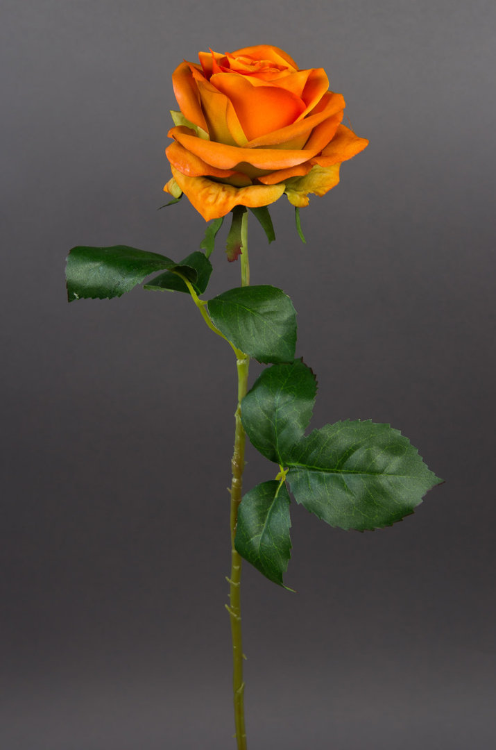 Rose 54cm orange CG Kunstblumen künstliche Rose Rosen Blumen Seidenblumen