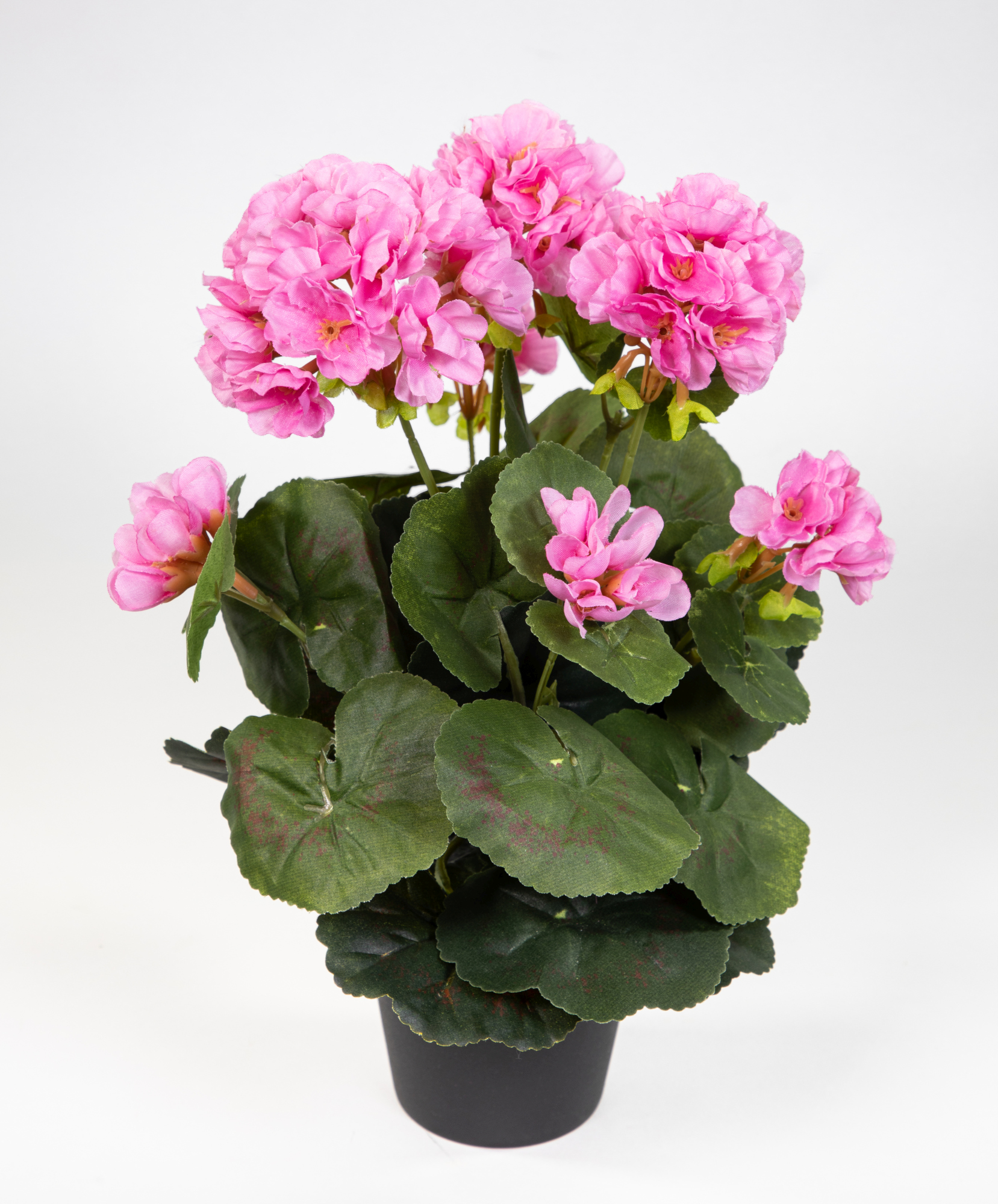 Künstliche Geranie im Topf 35cm rosa LM Kunstblumen künstliche Pelargonium Blumen Pflanzen