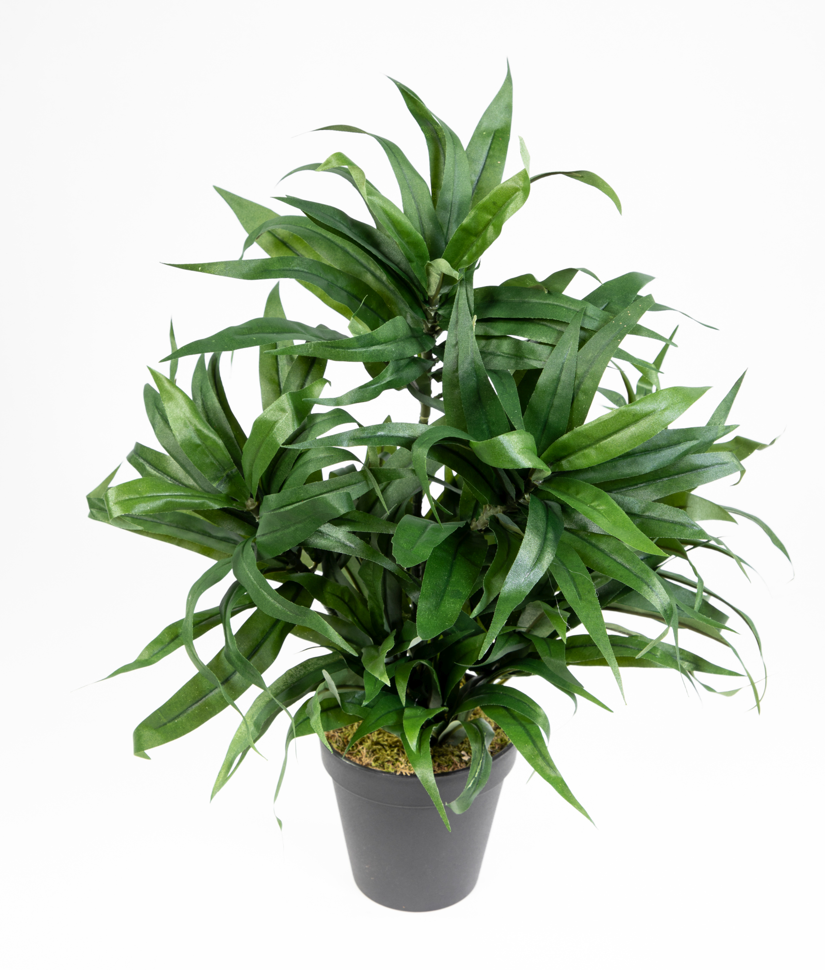 Dracena 42cm grün im Topf DA Kunstpflanzen künstliche Pflanzen Palmen Kunstpalme