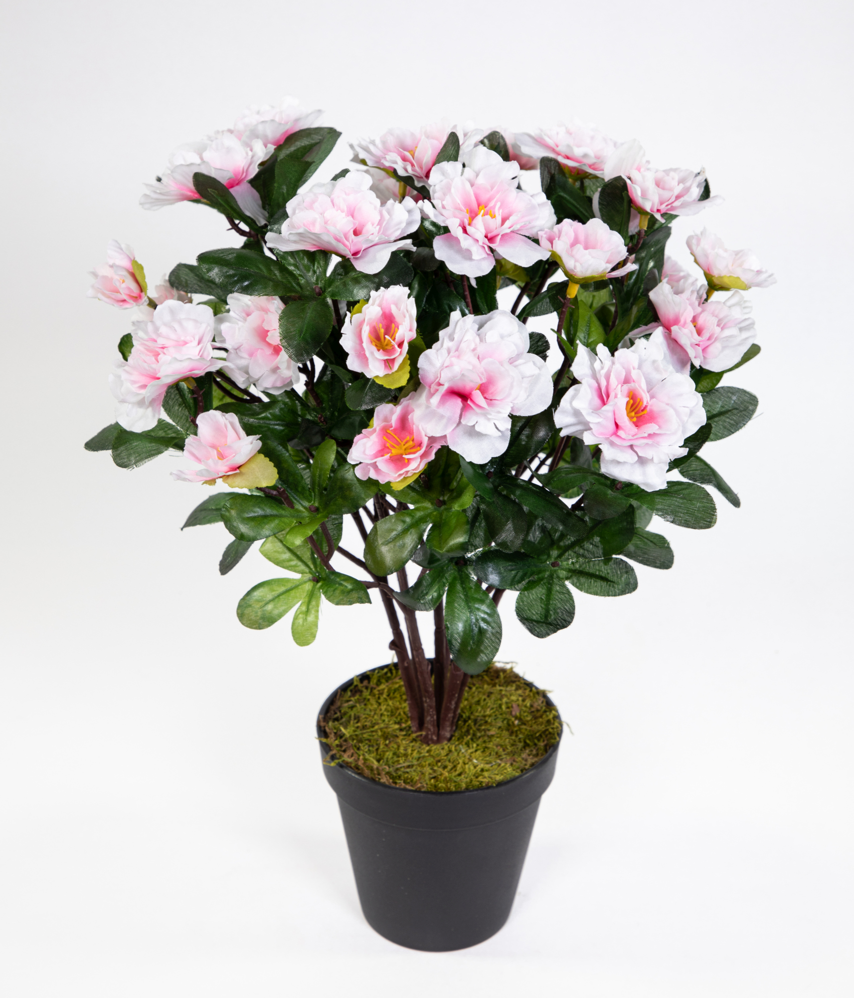 Azalee 34cm pink-weiß im Topf LA künstliche Blumen Pflanzen Kunstpflanzen Kunstblumen Azaleenbusch