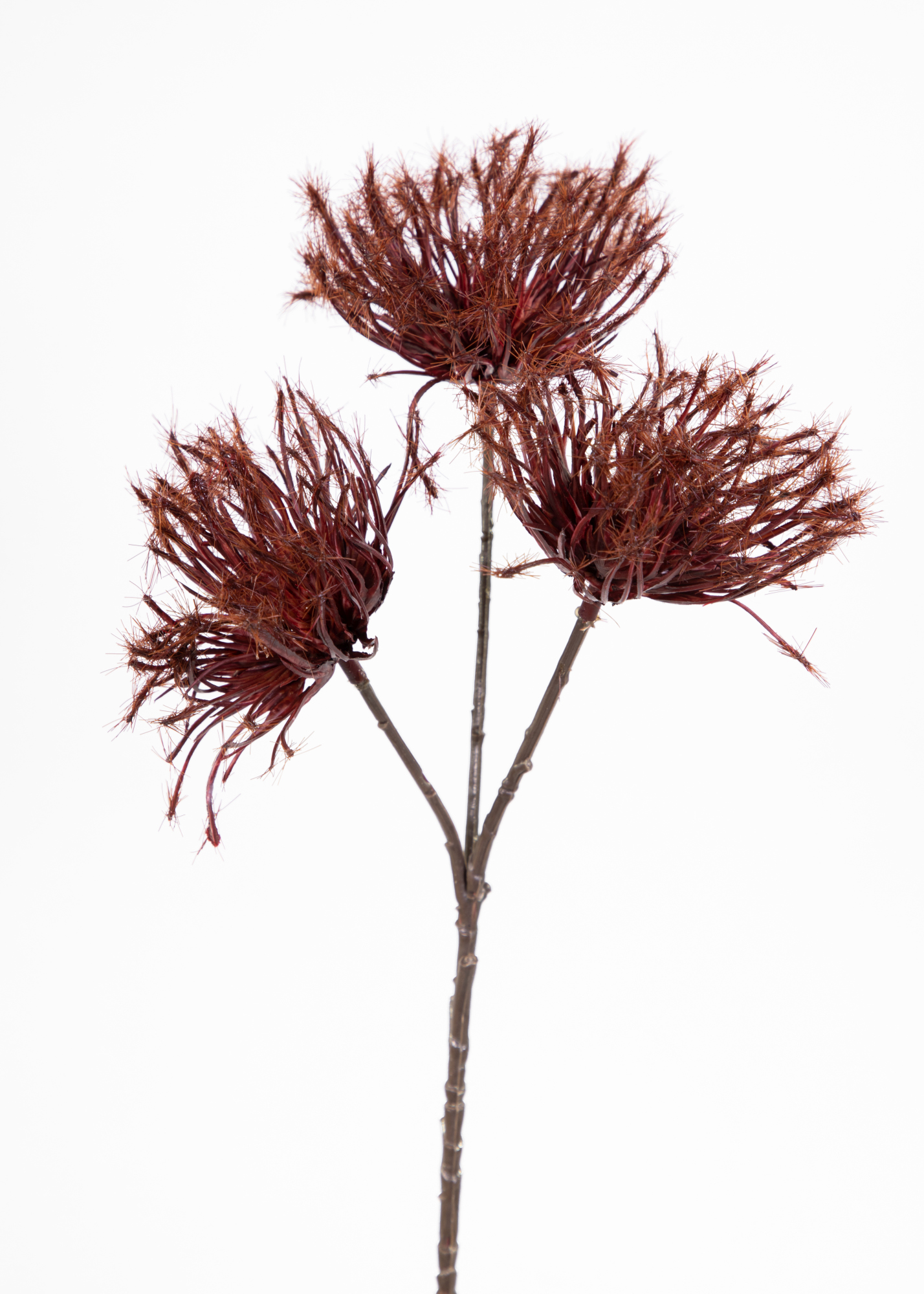 Distelzweig mit 3 Köpfen 36cm bordeaux GA Künstliche Distel Blumen Zweig Kunstblumen Kunstpflanzen