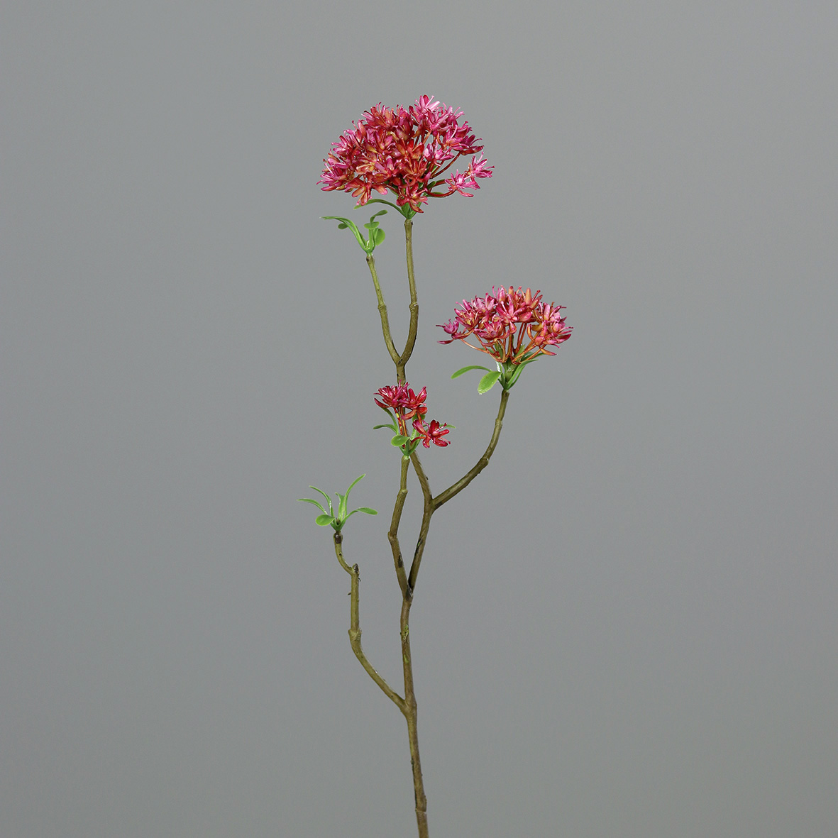 Bouvardienzweig 55cm pink GA Kunstblumen künstliche Bowardien Bouvardien Blumen Zweige