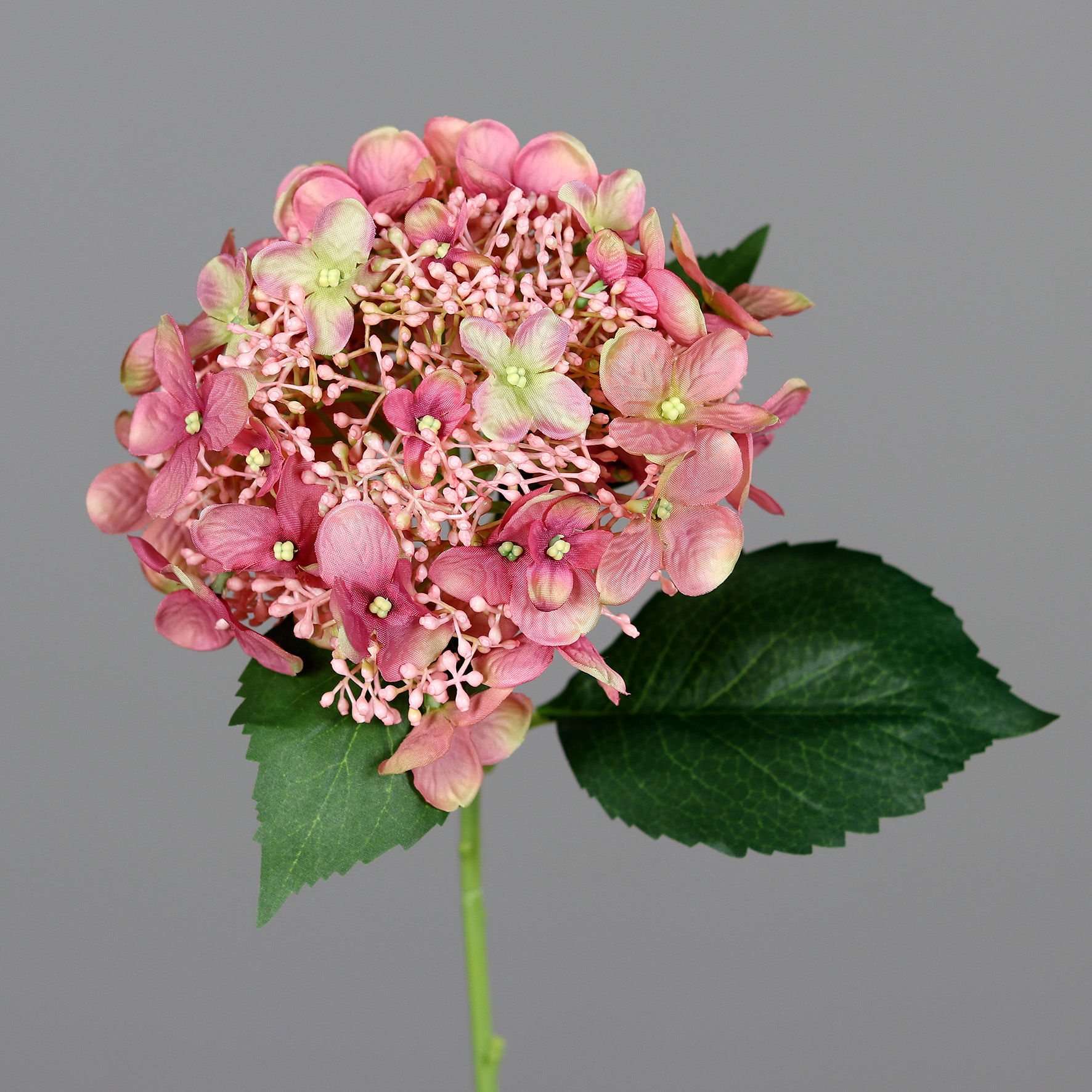 Sommer Hortensie 52cm rosa DP Kunstlbumen künstliche Blumen Hortensien  Hydrangea | Kunstpflanzen