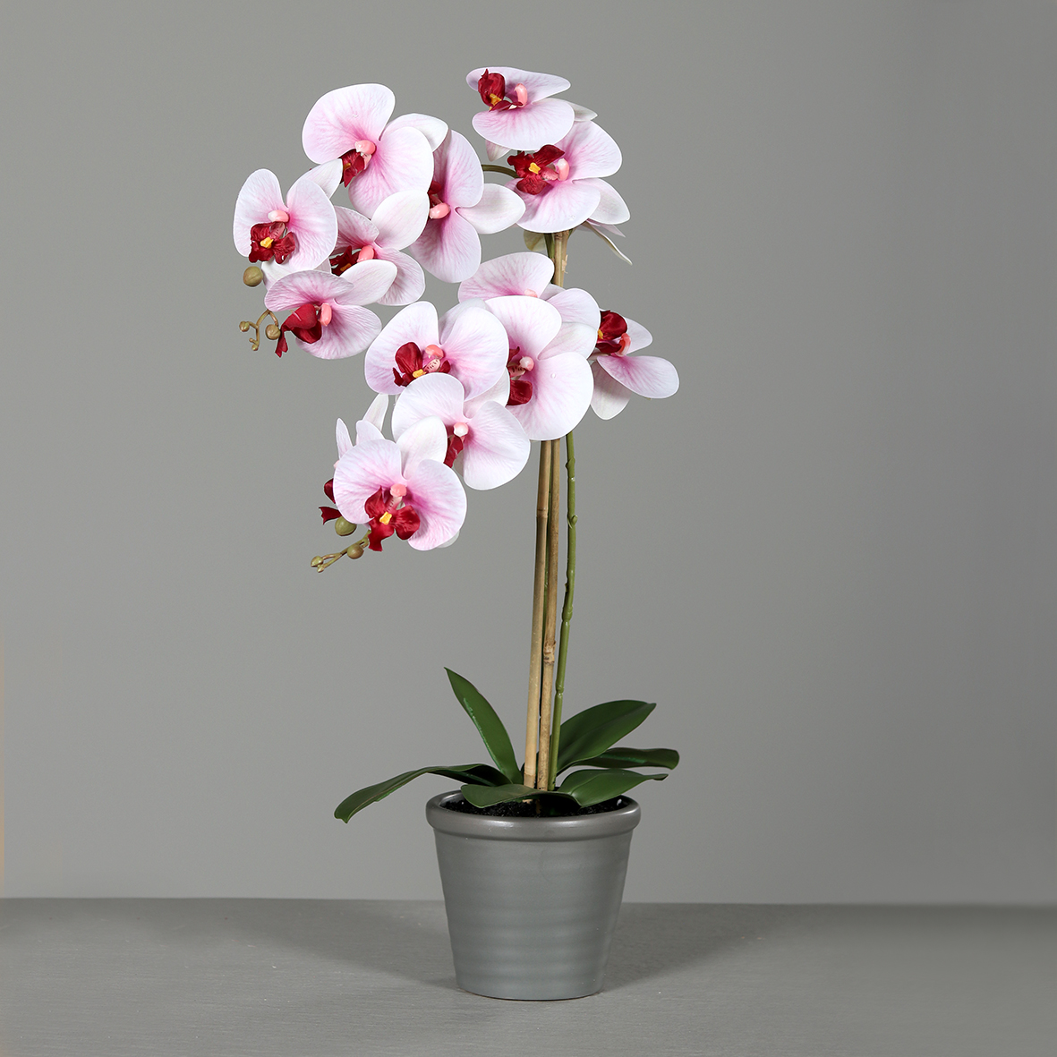 Orchidee 60x32cm weiß-rosa-pink im grauen Keramiktopf DP künstliche Blumen Kunstpflanzen Kunstblume