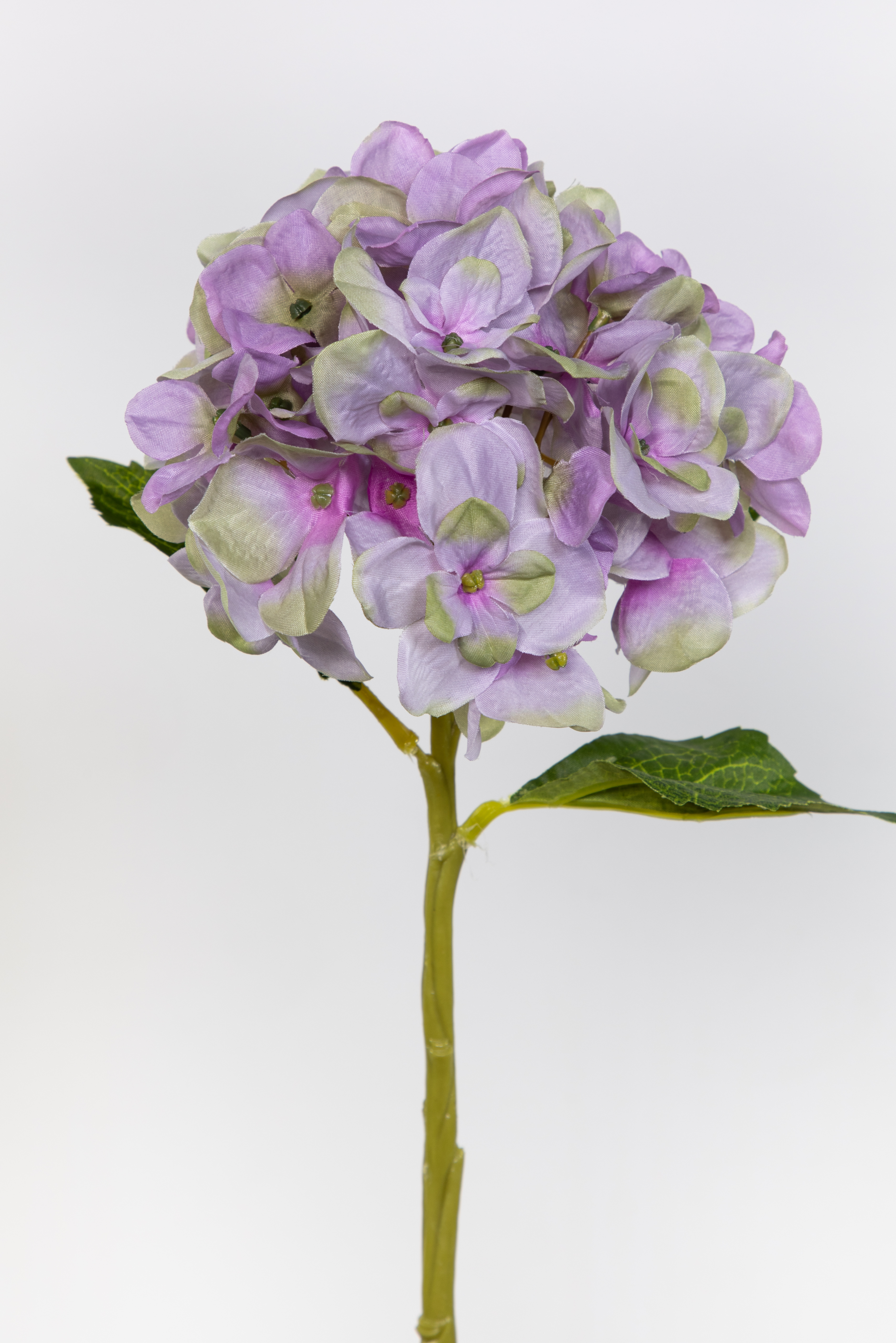 Hortensie Aqua 36cm helllila-grün FT Seidenblumen Kunstlbumen künstliche Blumen Hortensien