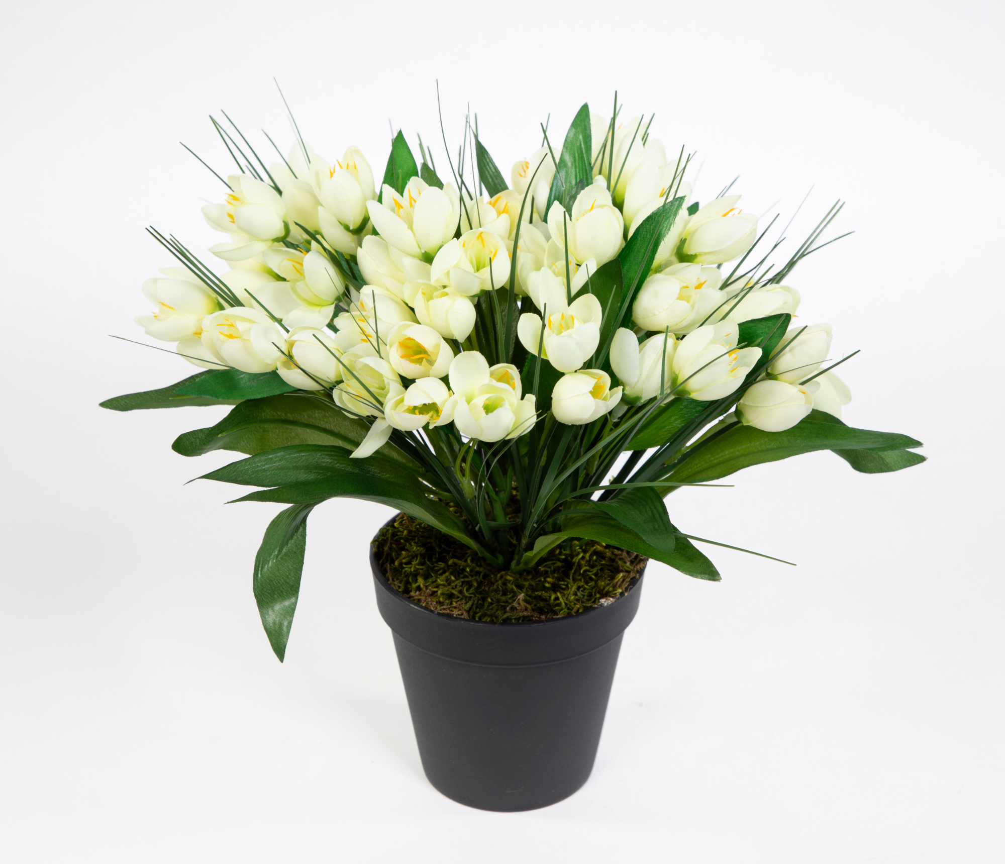 Krokusbusch 28cm weiß-creme im Topf PM Kunstpflanzen Kunstblumen künstlicher Crocus Krokus Blumen