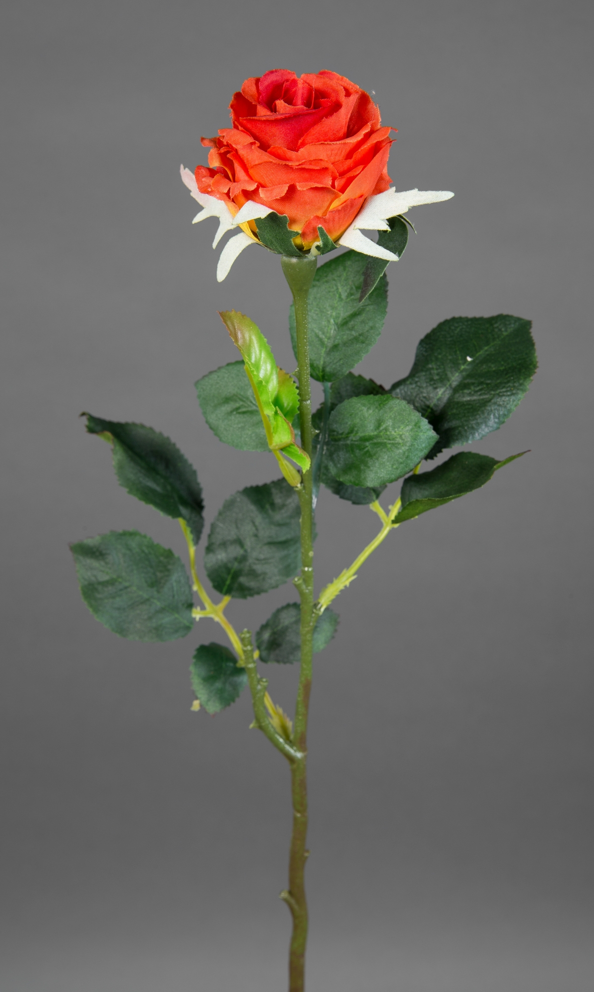 12 Stück Rose Elena 45cm orange PM Seidenblumen Kunstblumen künstliche Blumen Rosen