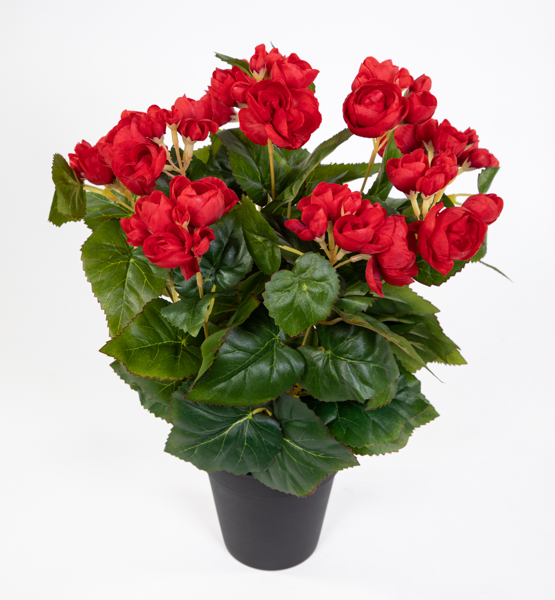 Begonie 38cm rot im Topf LM Kunstpflanzen künstlicher Begonienbusch künstliche Pflanze Kunstblumen
