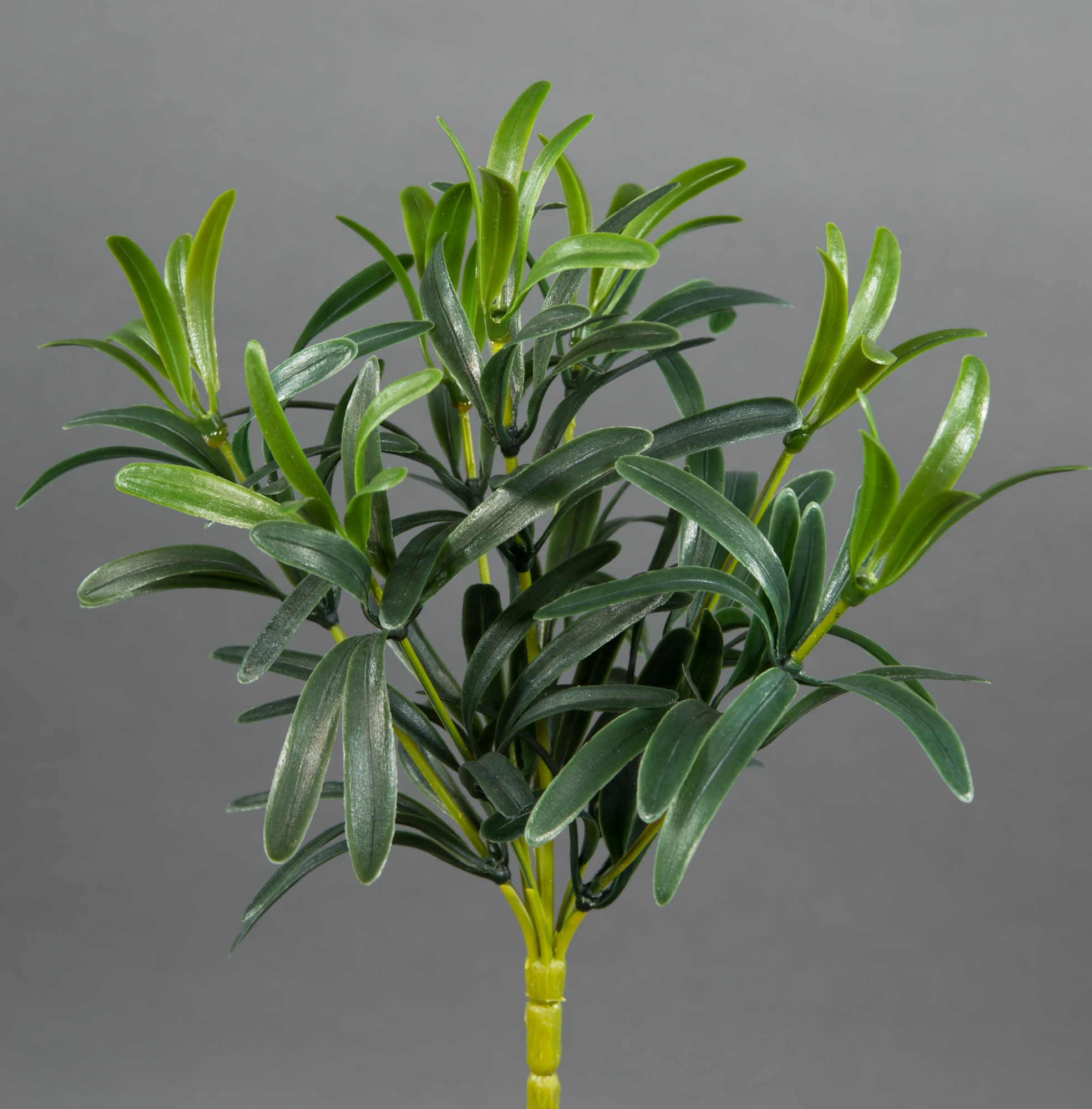 Podocarpus 26cm grün ZF Kunstpflanzen künstliche Pflanzen Steineibe