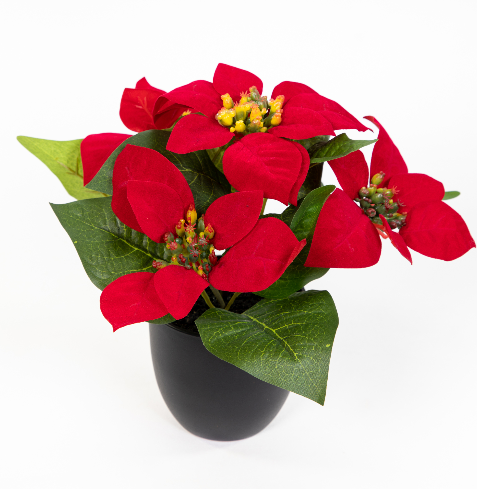 Weihnachtsstern 22cm rot im schwarzen Topf DP künstliche Blume Kunstpflanze Kunstblumen Poinsettie
