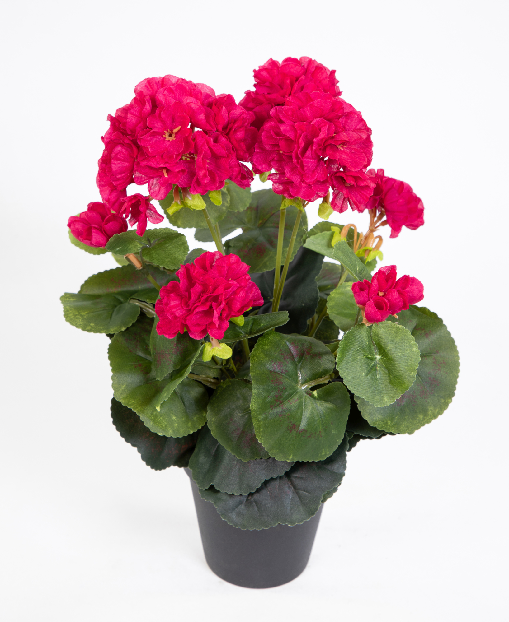 Künstliche Geranie im Topf 35cm fuchsia-pink LM Kunstblumen künstliche Pelargonium Blumen Pflanzen