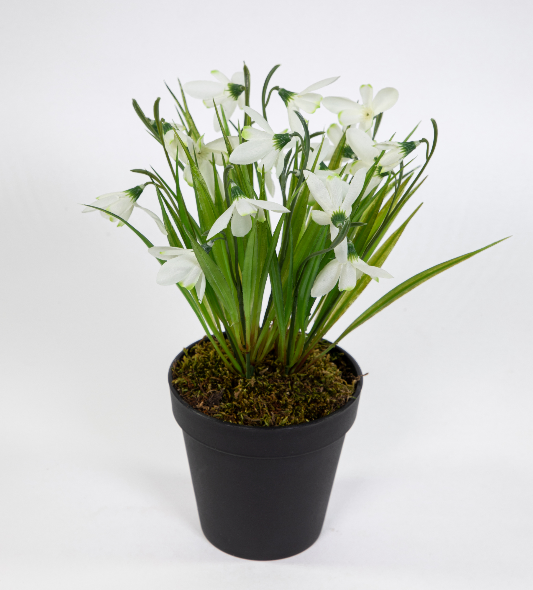 Schneeglöckchen 28cm weiß im Topf FT Galanthus Kunstblumen künstliche Blumen Pflanzen
