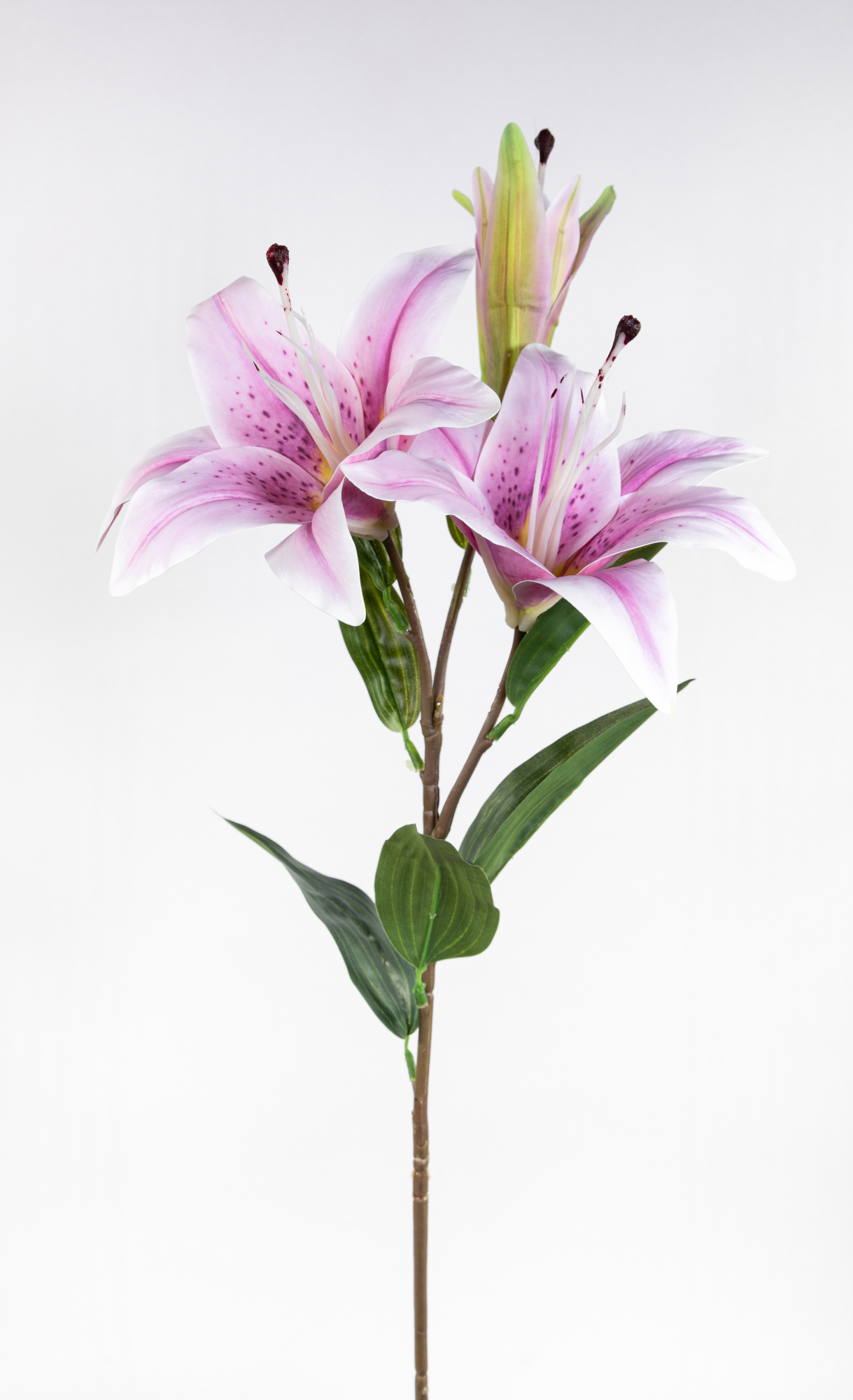 Lilie Real Touch 80cm rosa CG Kunstblumen künstliche Blumen Seidenblumen künstlicher Lilienzweig