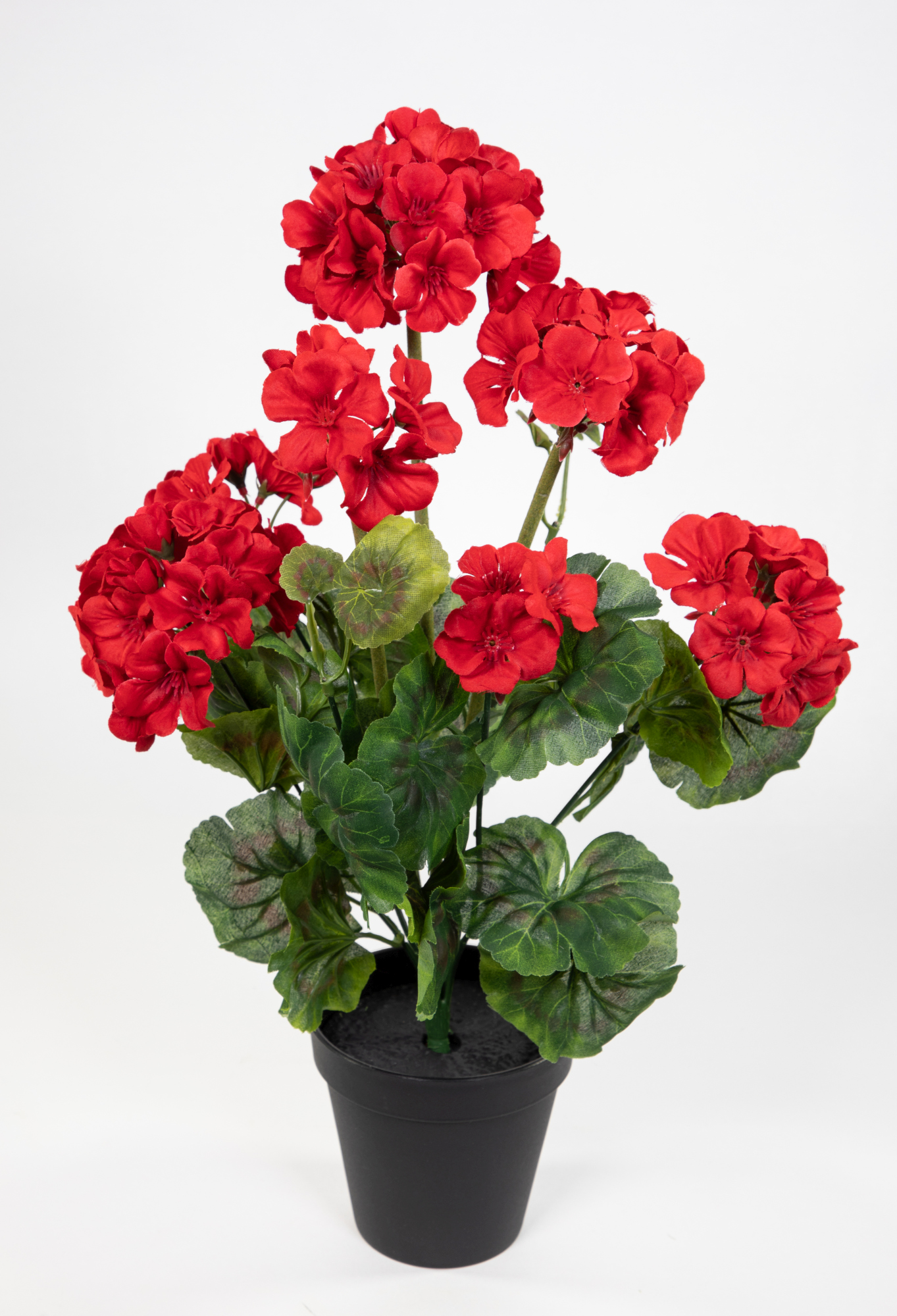 Künstliche Geranie im Topf 44cm rot JA Kunstblumen künstliche Pelargonium Blumen Pflanzen