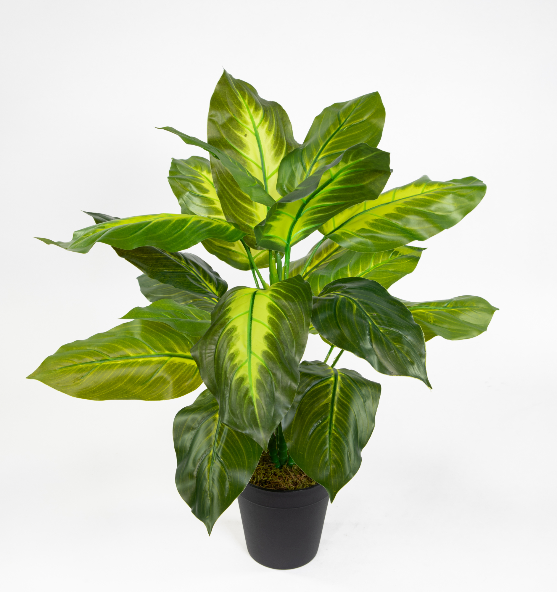 Philo Real Touch 52cm grün-hellgrün im Topf ZF Kunstpflanzen künstliche  Pflanzen Philopflanze