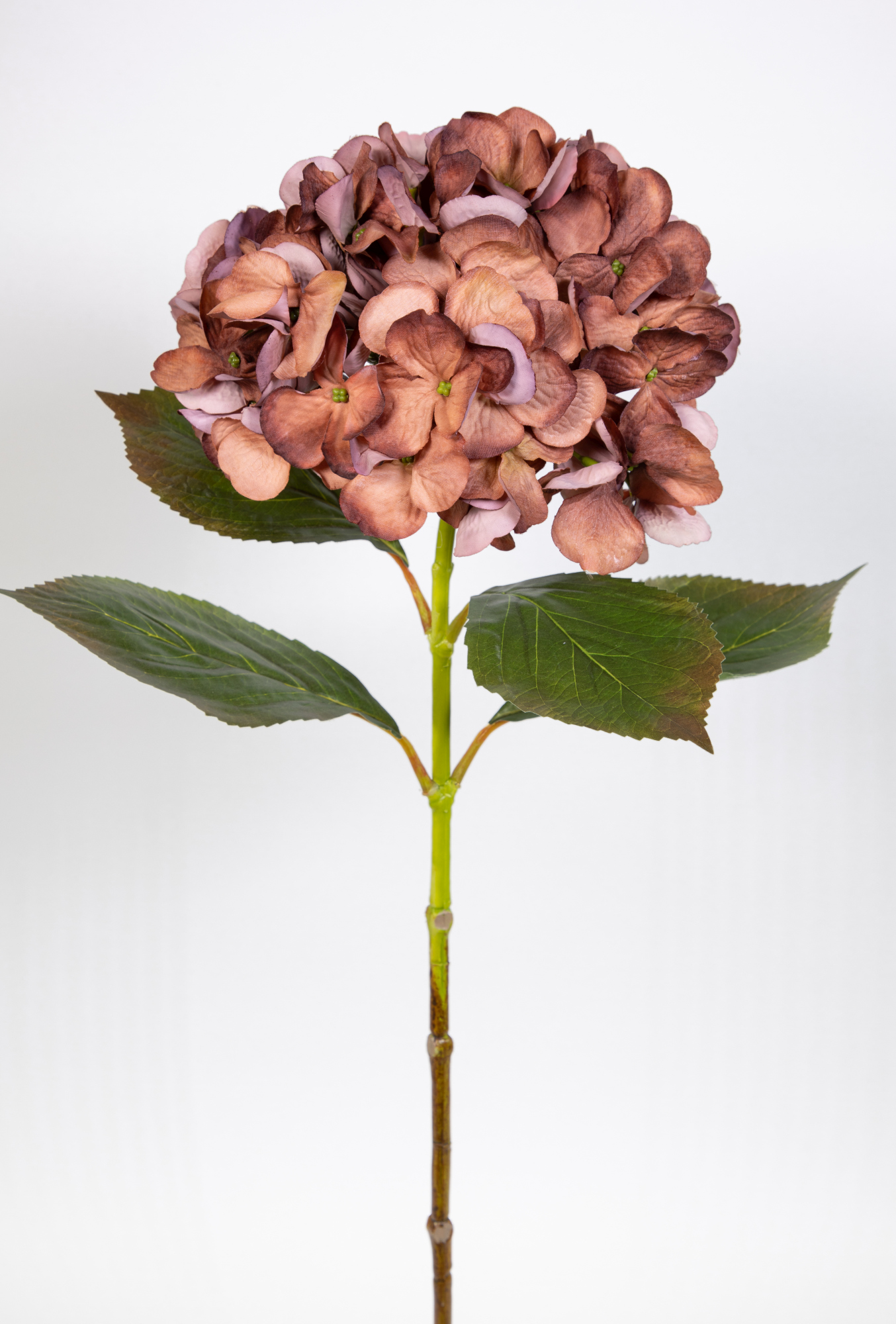 Hortensie 68cm braun-hellbraun GA Seidenblumen Kunstlbumen künstliche Blumen Hortensien Hydrangea