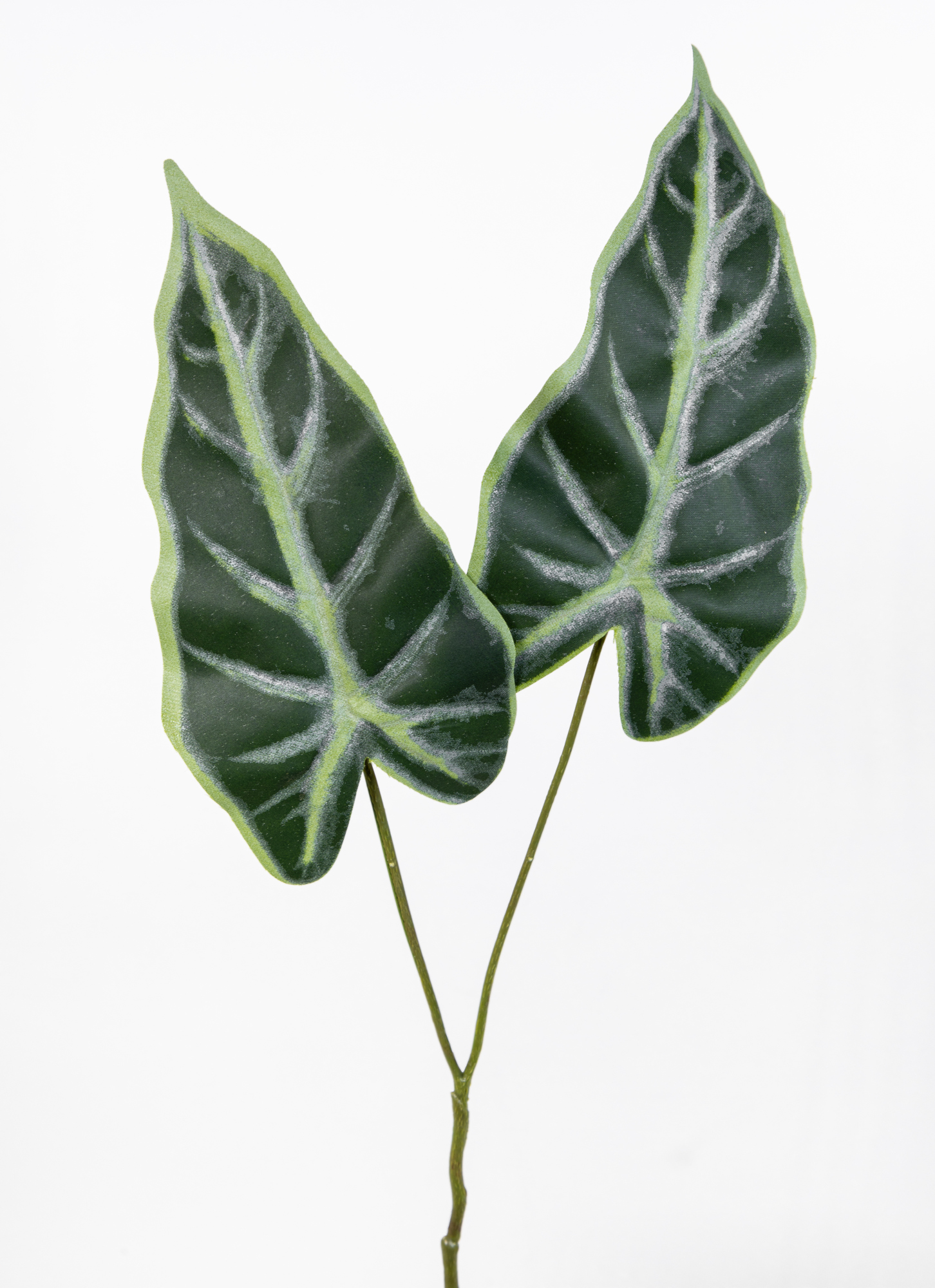 12 Stück Blattzweig Alocasia mit 2 Blättern 56cm OG künstlicher Zweig Ast Blatt Kunstpflanzen
