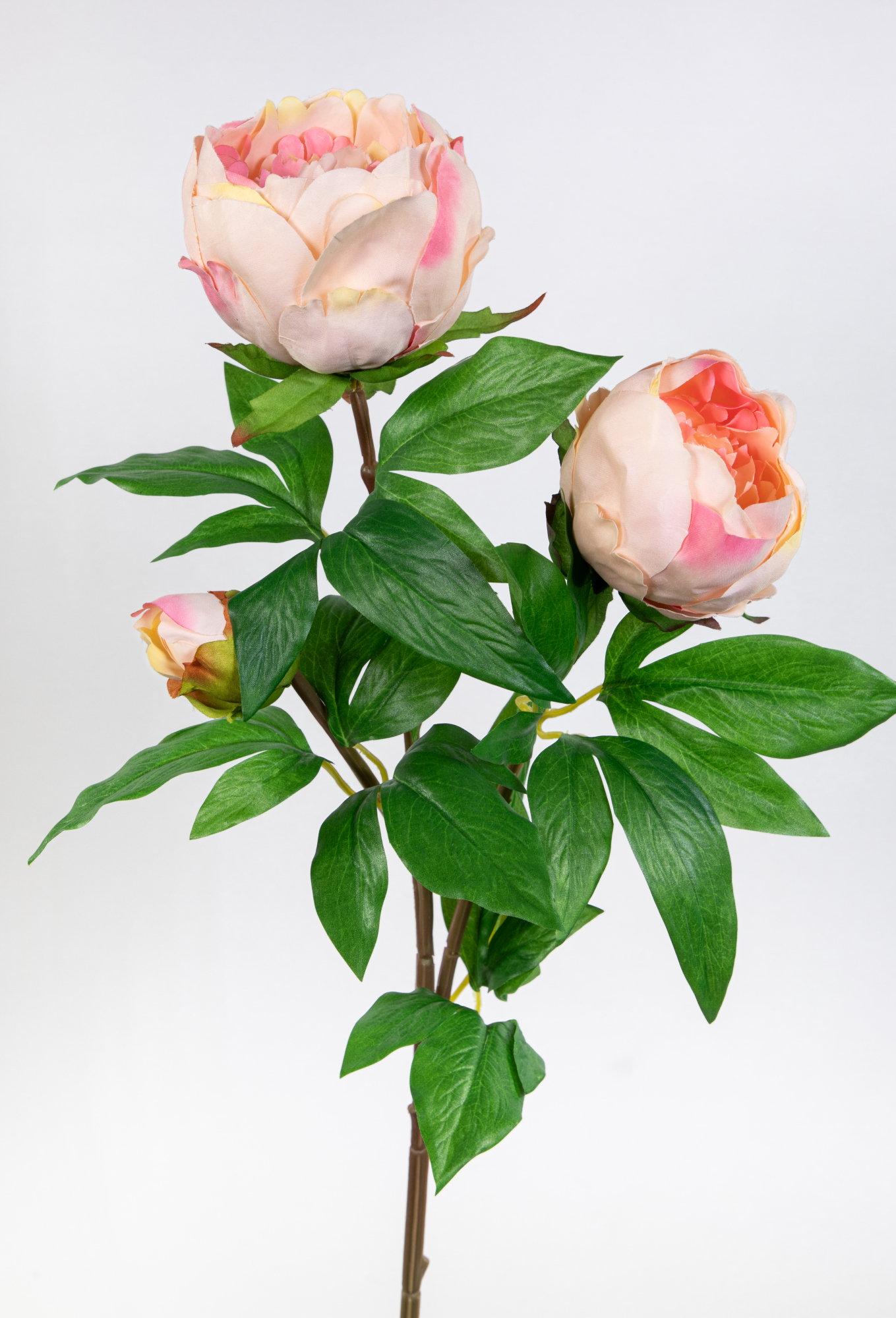 Pfingstrose Nature 68cm apricot-peach GA Kunstblumen Seidenblumen künstliche Blumen Päonie