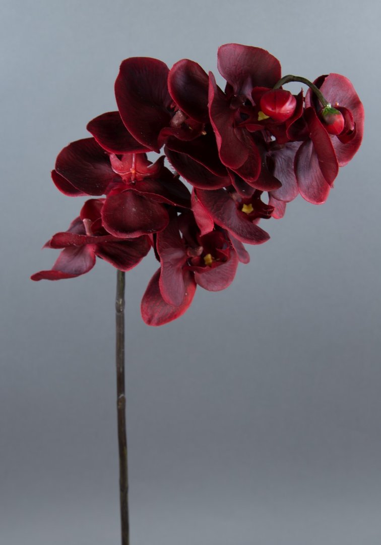 Orchideenzweig Real Touch 72cm dunkelrot CG Kunstblumen künstliche Orchidee Blumen Seidenblumen