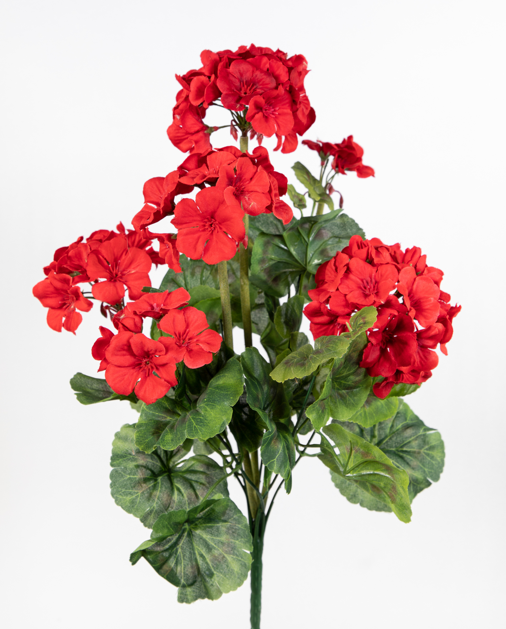 Geranie 45cm rot -ohne Topf- JA Kunstpflanzen künstliche Pelargonium Blumen Pflanzen Kunstblumen