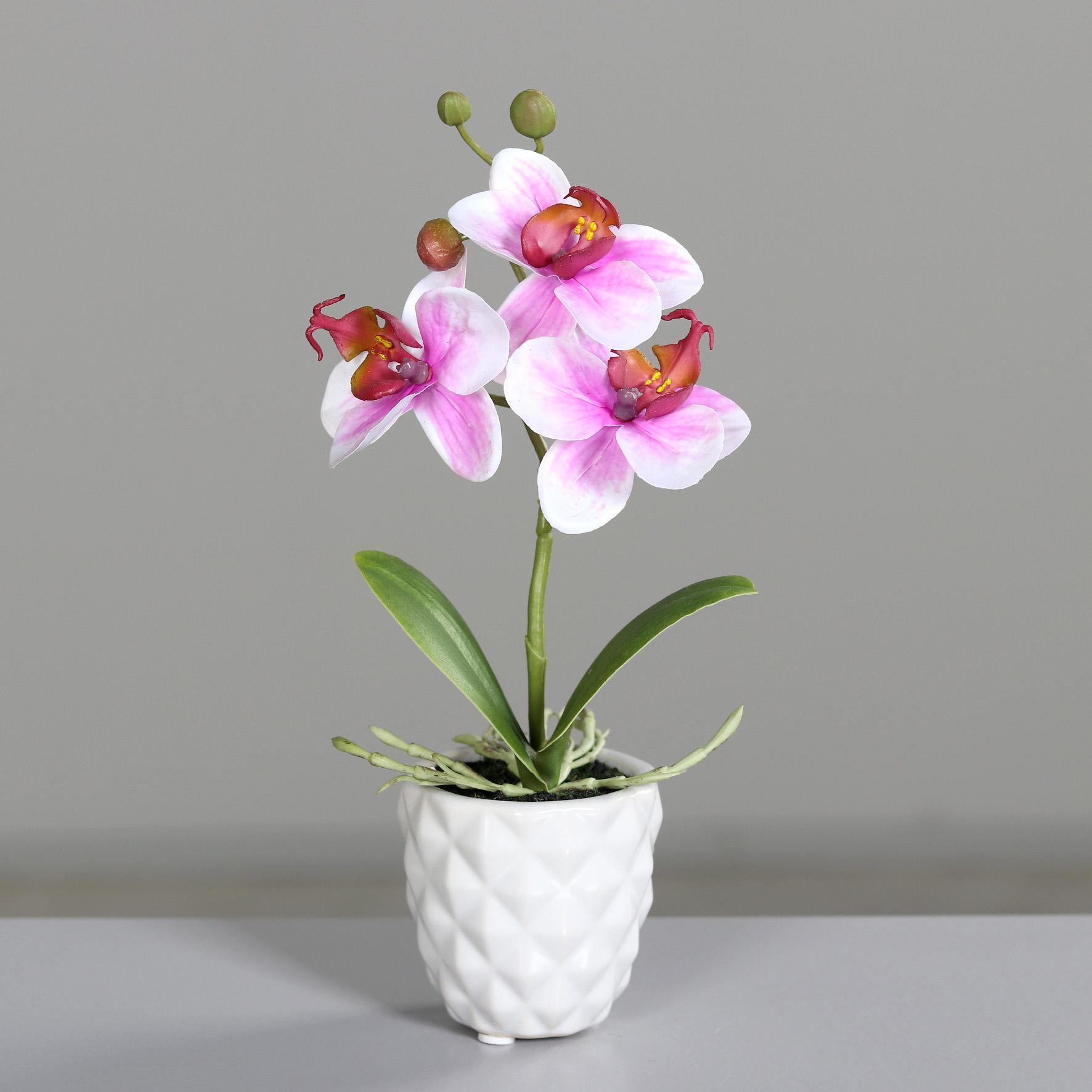 Mini Orchidee Real Touch 24cm pink-weiß im weißen Keramiktopf DP künstliche Blumen Kunstpflanzen