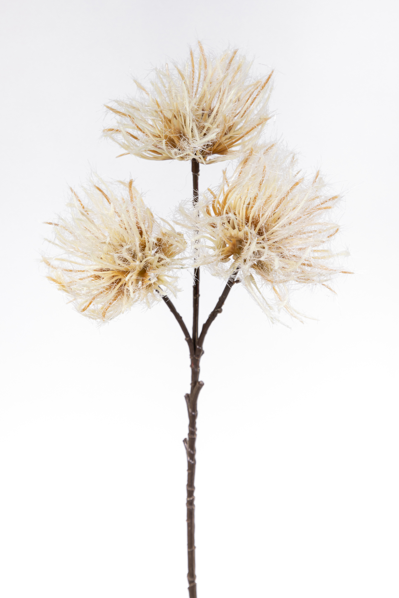 Distelzweig mit 3 Köpfen 36cm creme GA Künstliche Distel Blumen Zweig Kunstblumen Kunstpflanzen