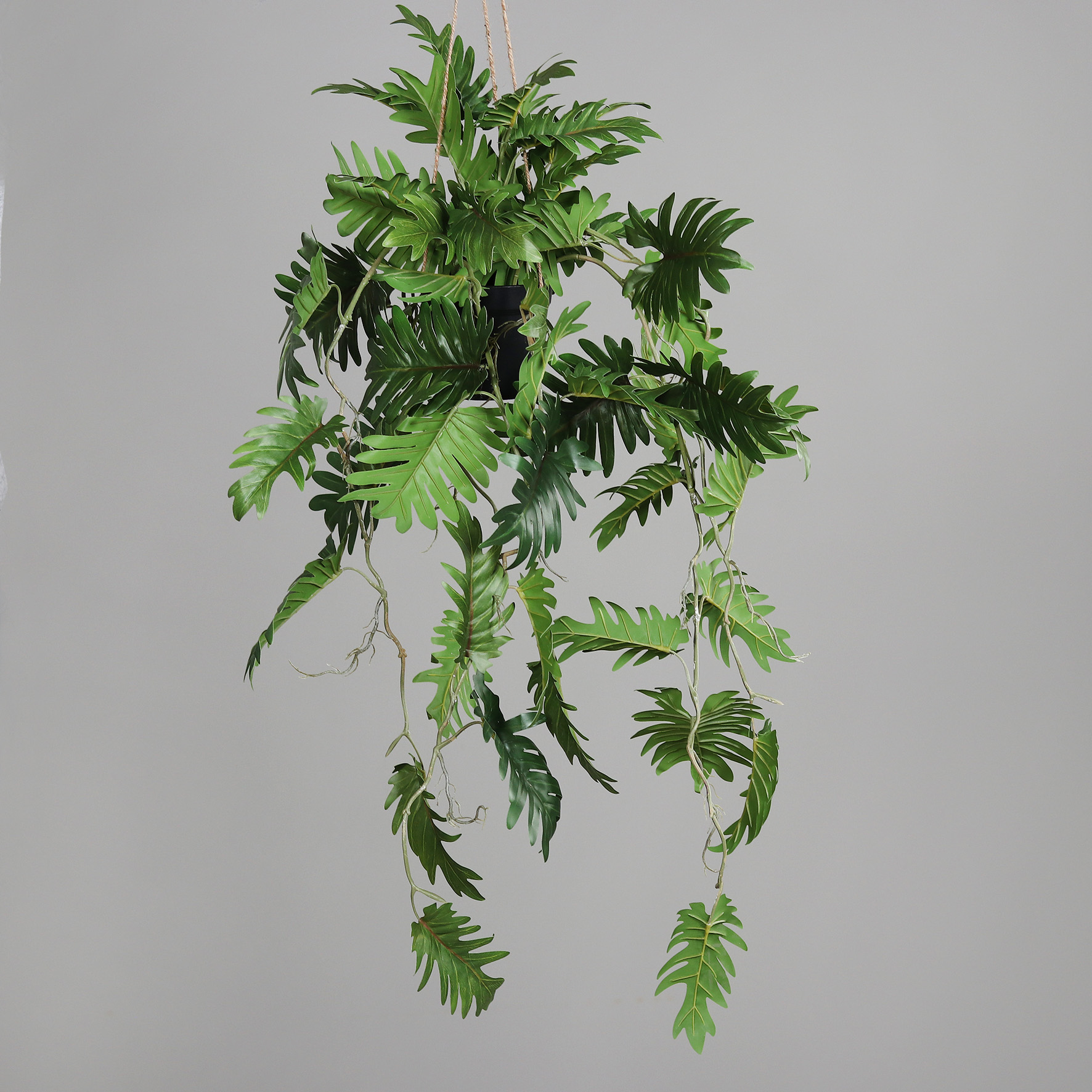 Monsteraranke im Hängetopf 60cm / 100cm DP Kunstpflanzen Hängeampel künstliche Pflanzen Monstera