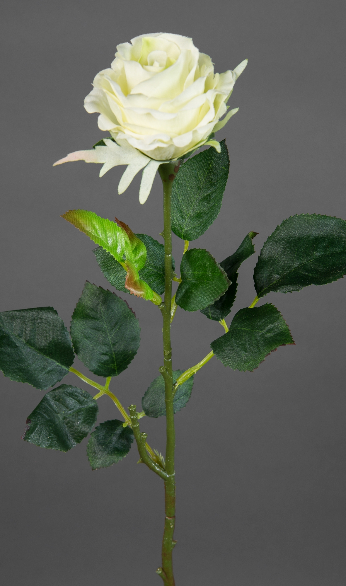 12 Stück Rose Elena 45cm weiß PM Seidenblumen Kunstblumen künstliche Blumen Rosen